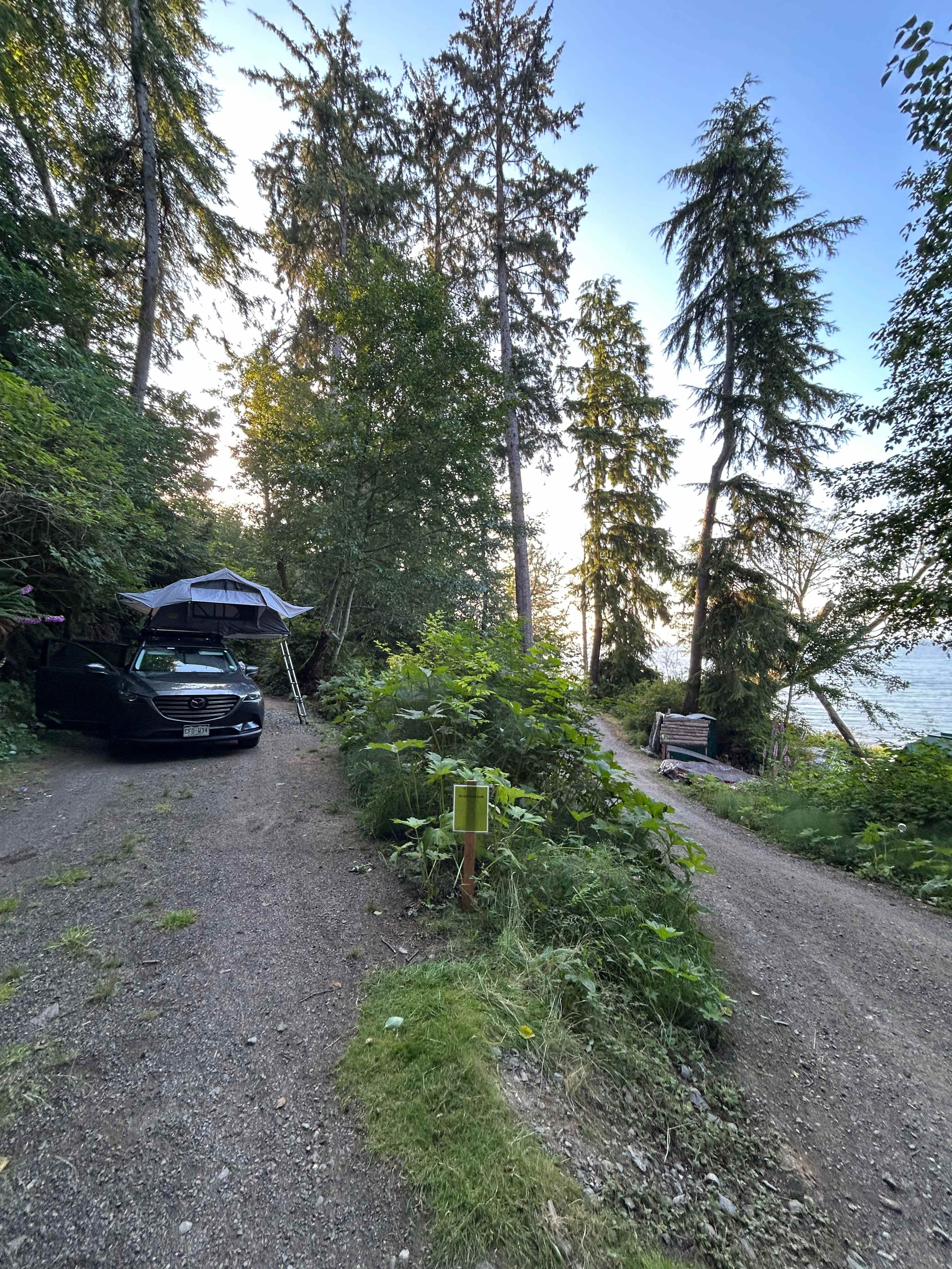 Our site w/water view in the background 