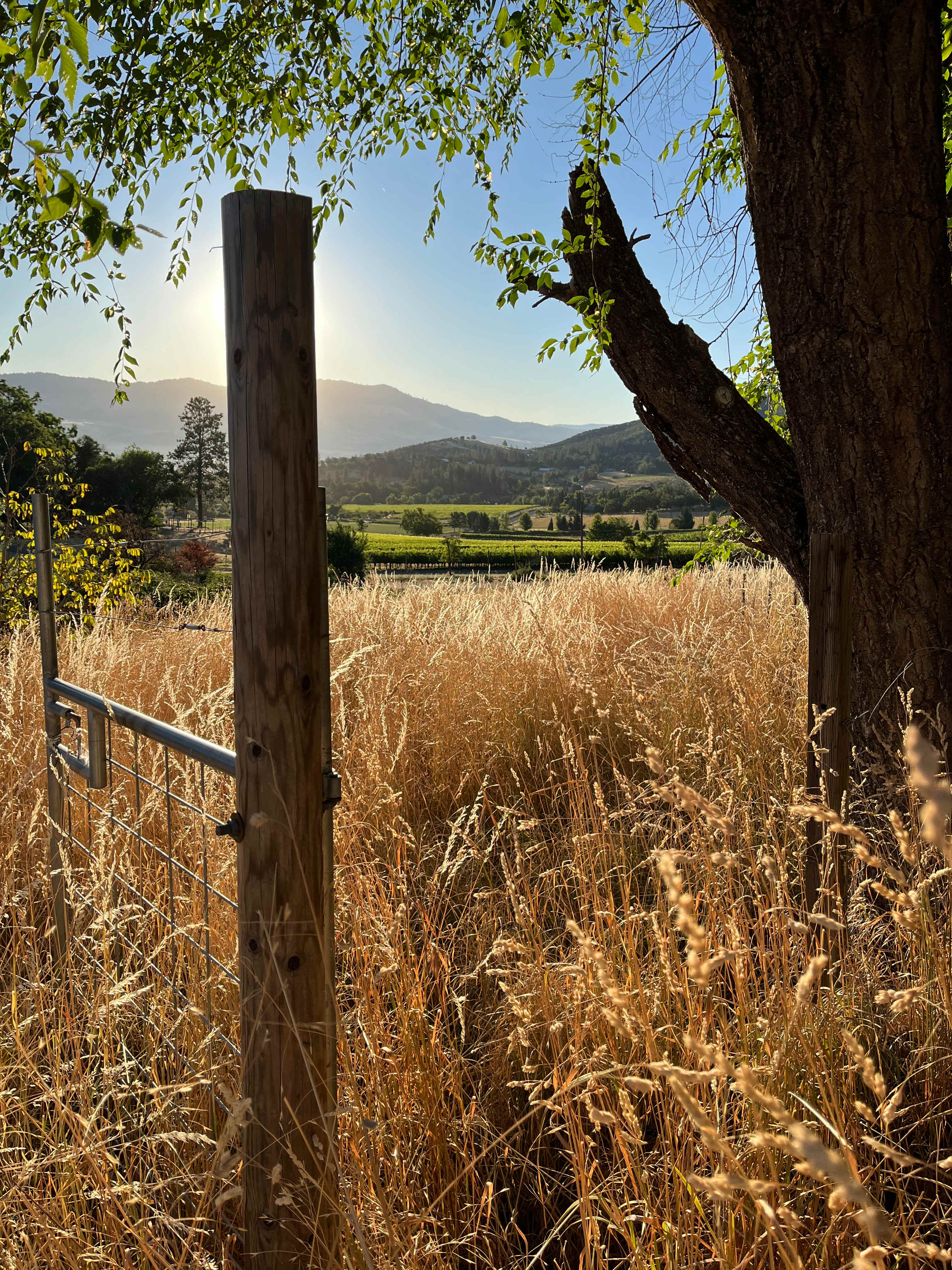 Howling Acres Ranch