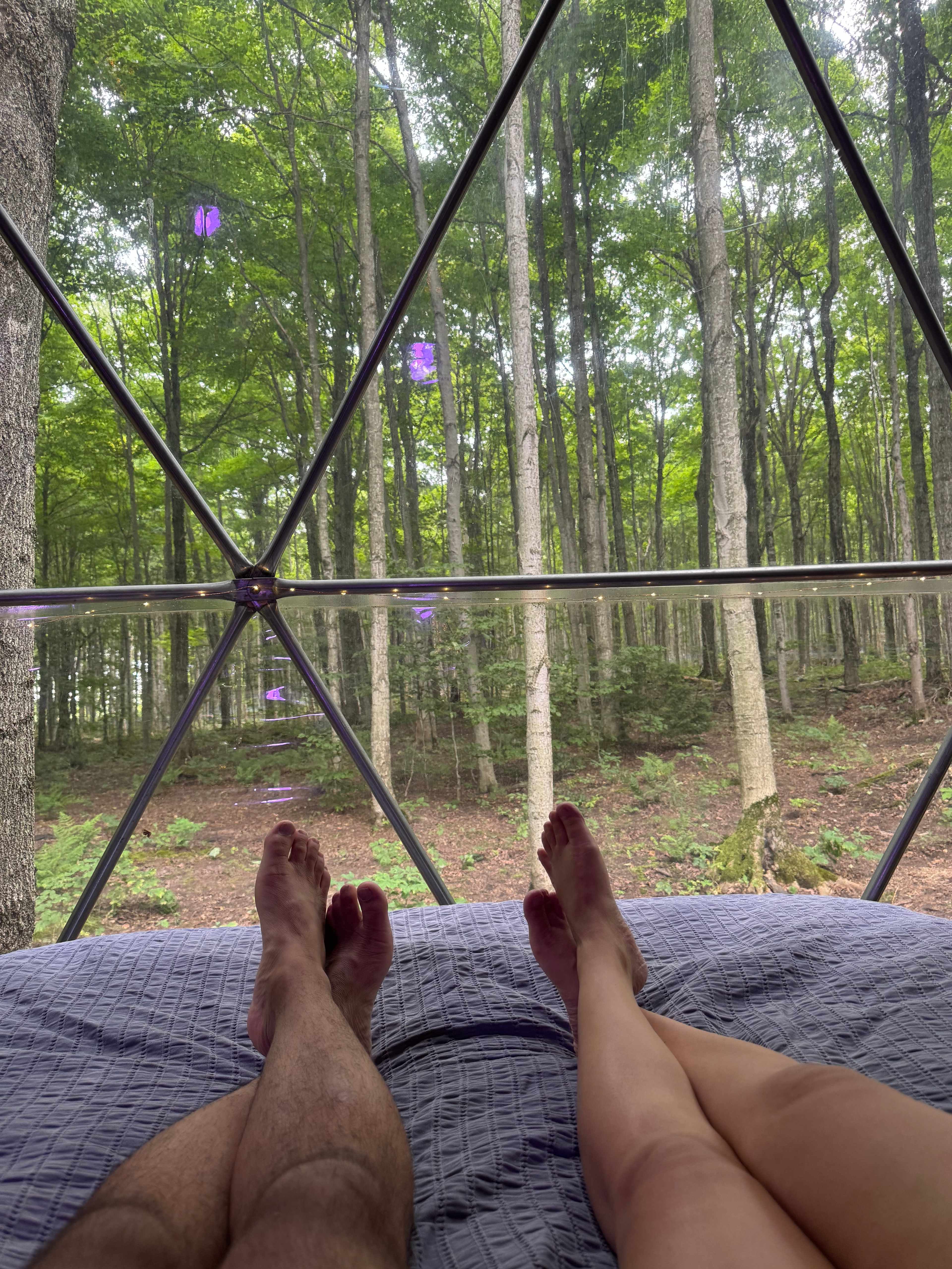 Cozy Forest Dome