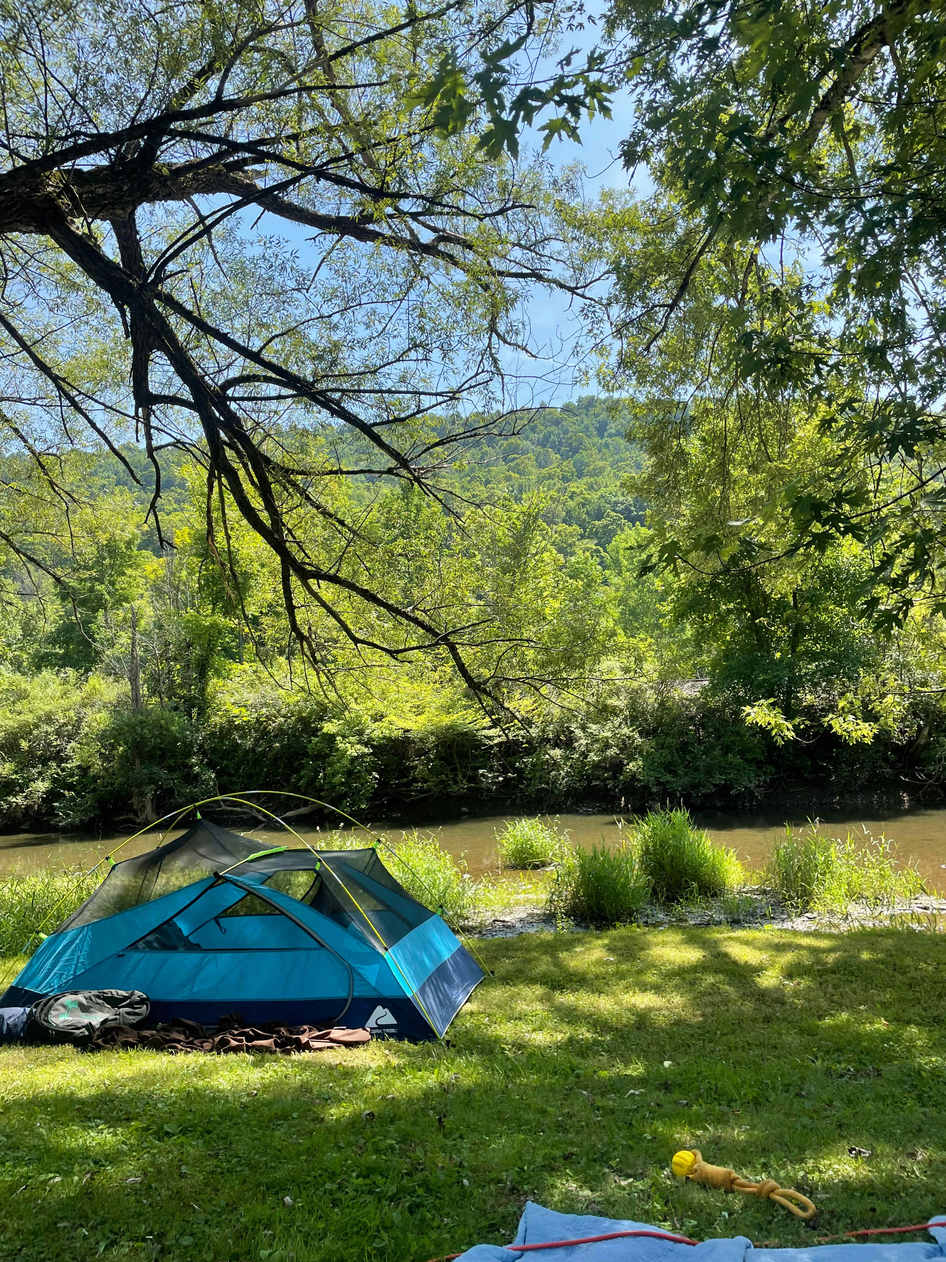 Campground Adventures