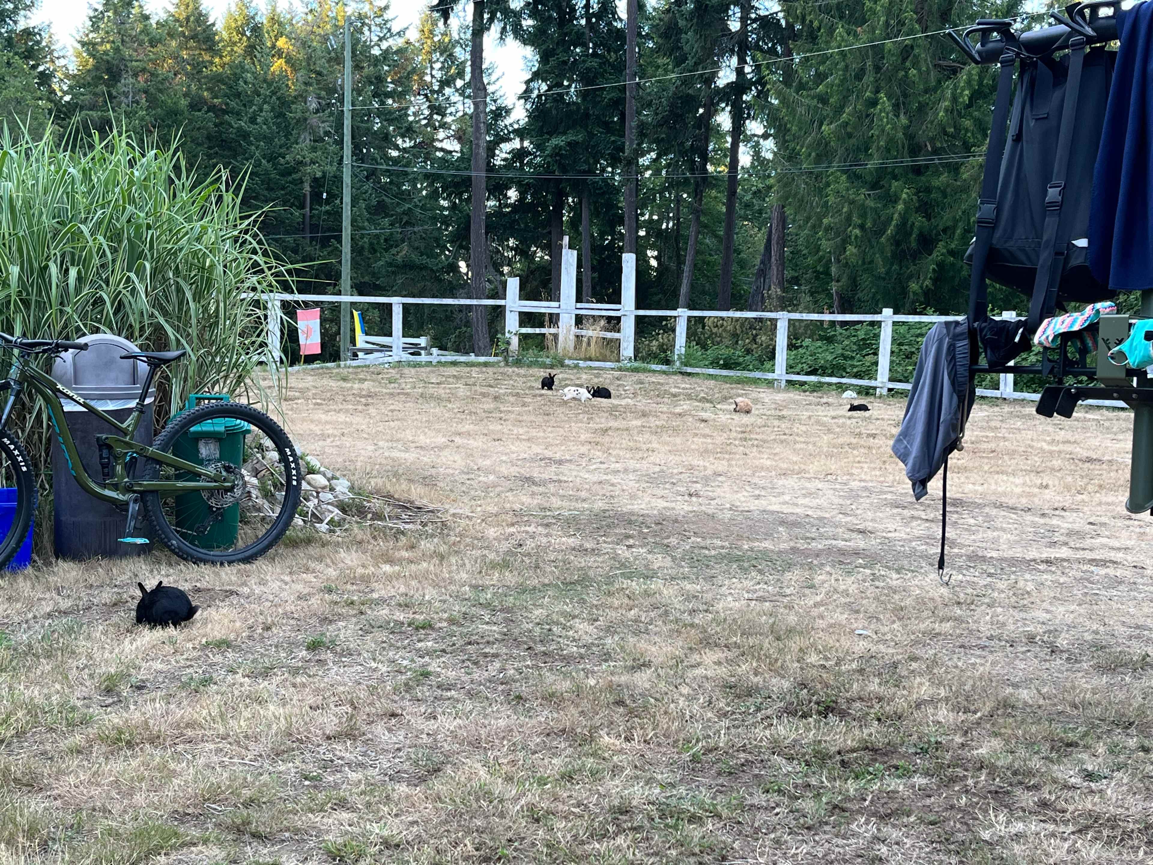 Wild Coast Parksville Campsite