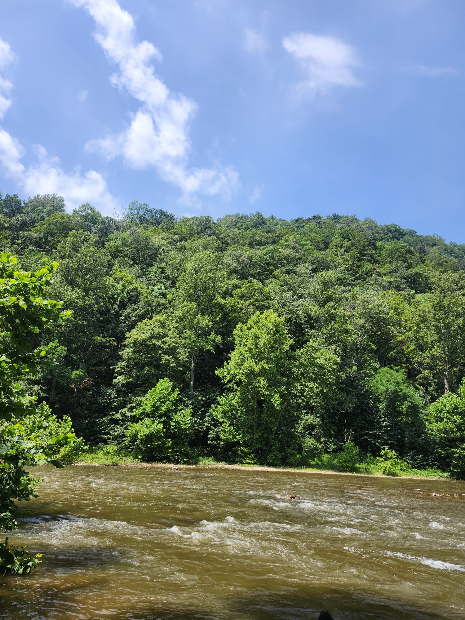 Casita Of LOVE (Panhandle WV)