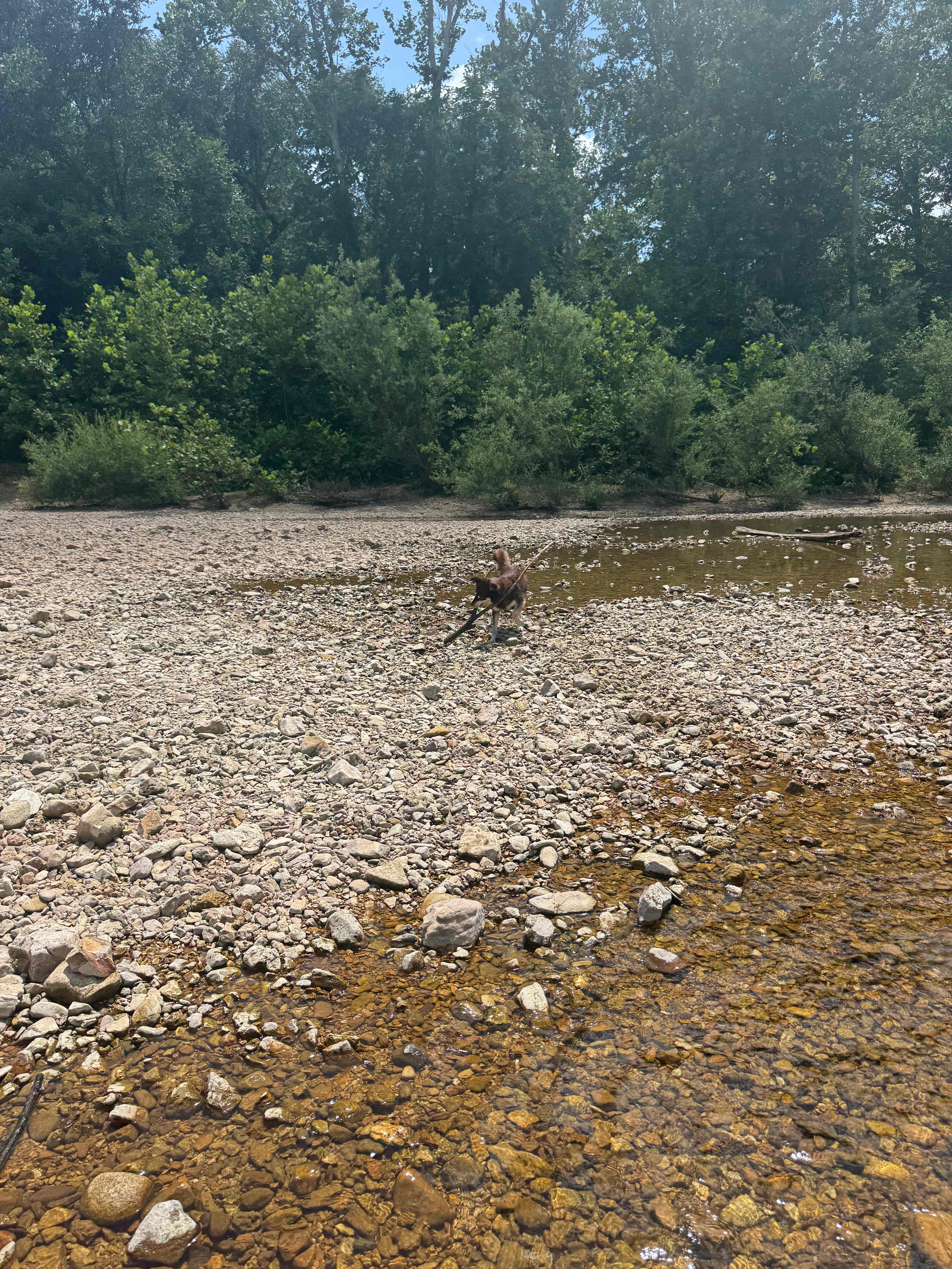 Four Creeks Campground