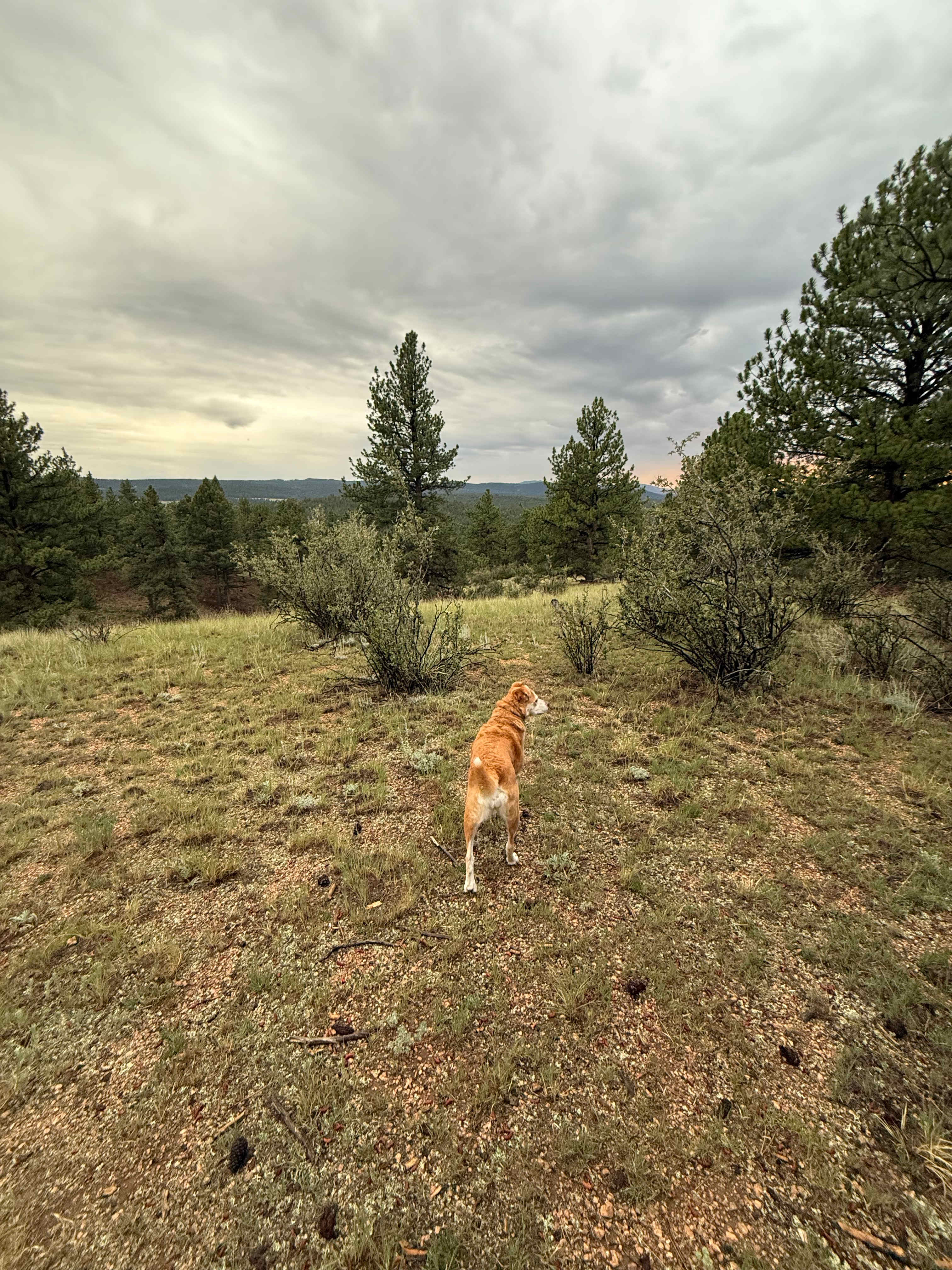 Camp Kan-Ne-Ga (Ute for "home")