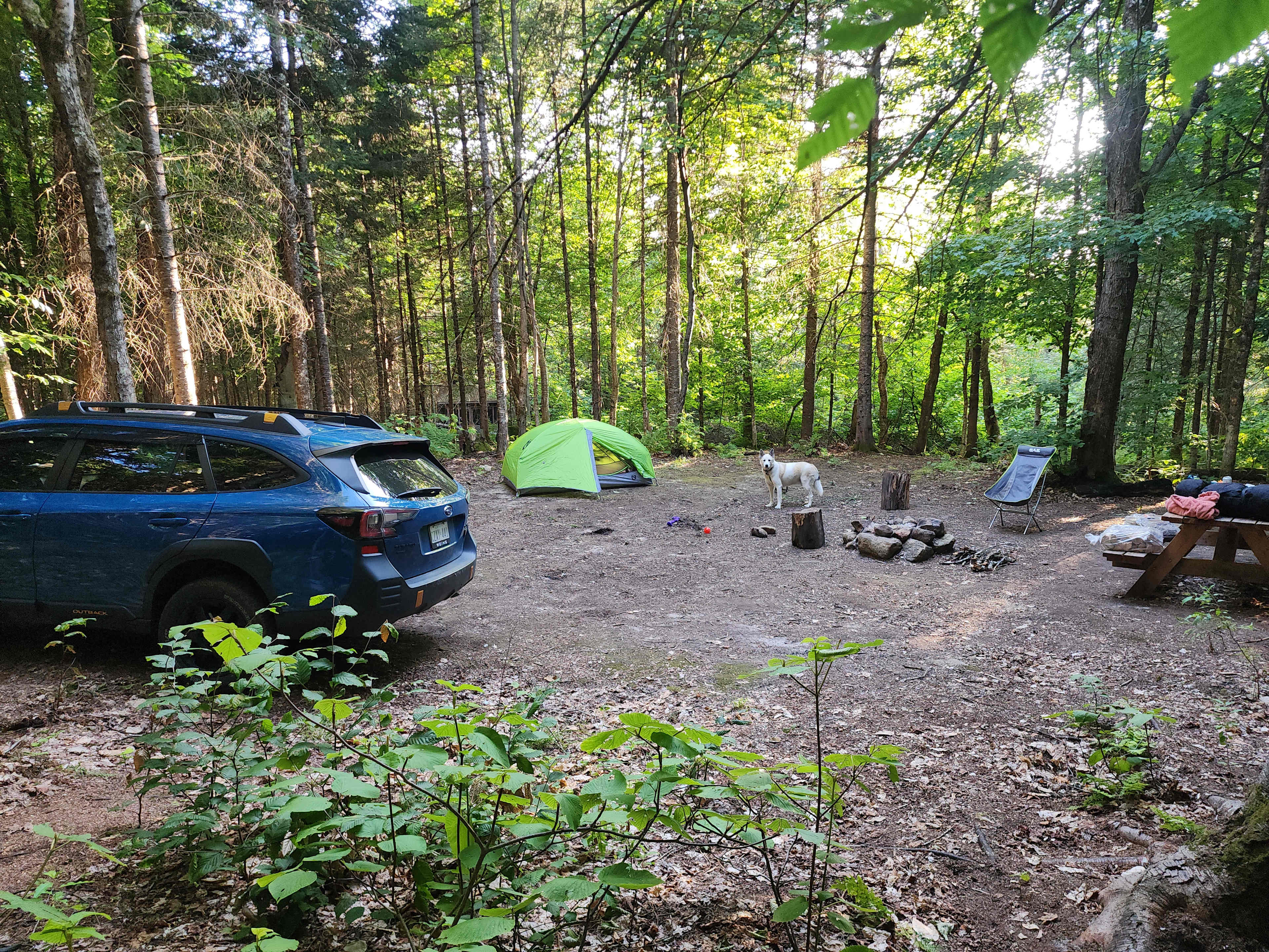 Blueberry Lake Camping