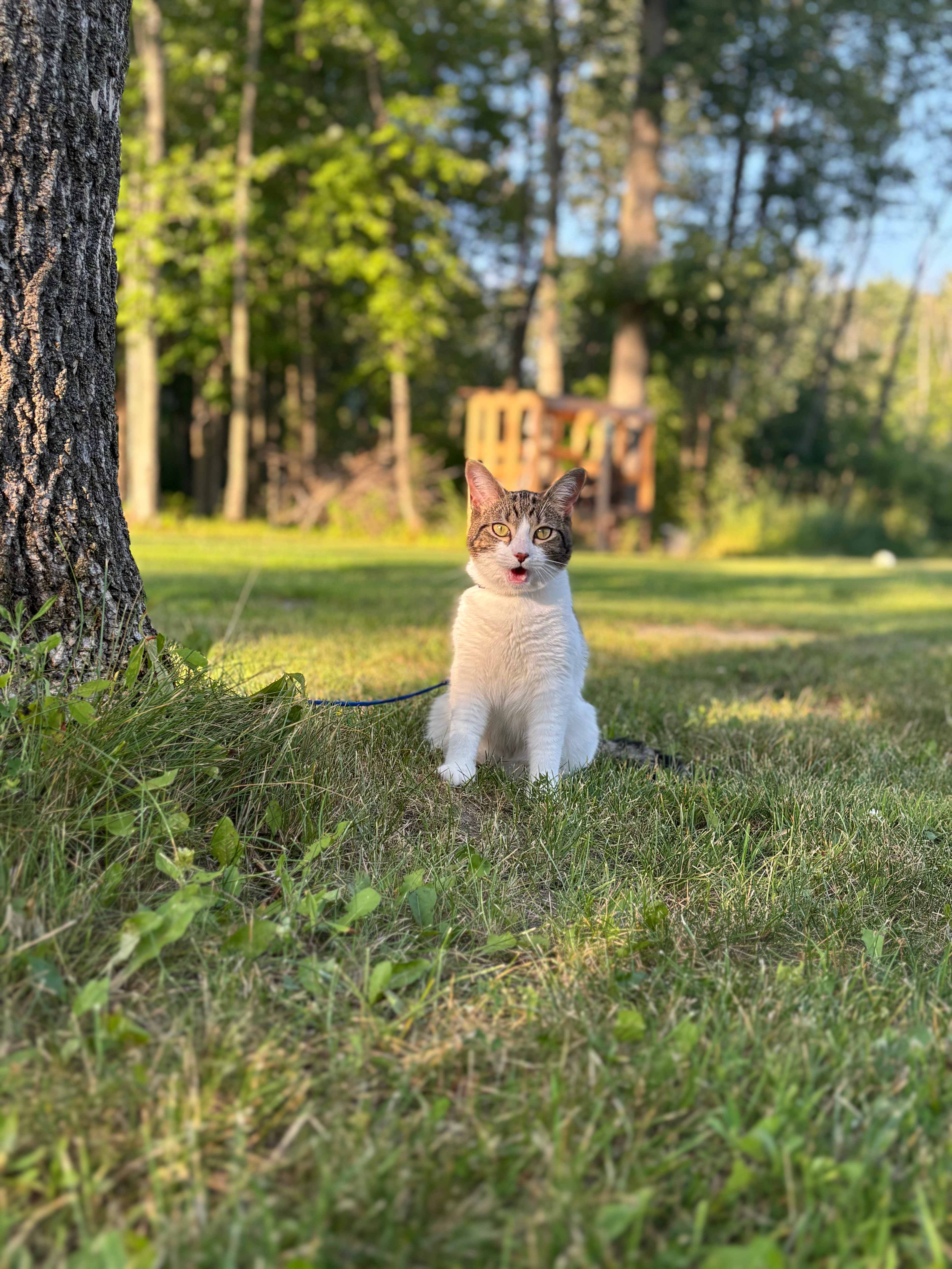 Relax By The Ponds