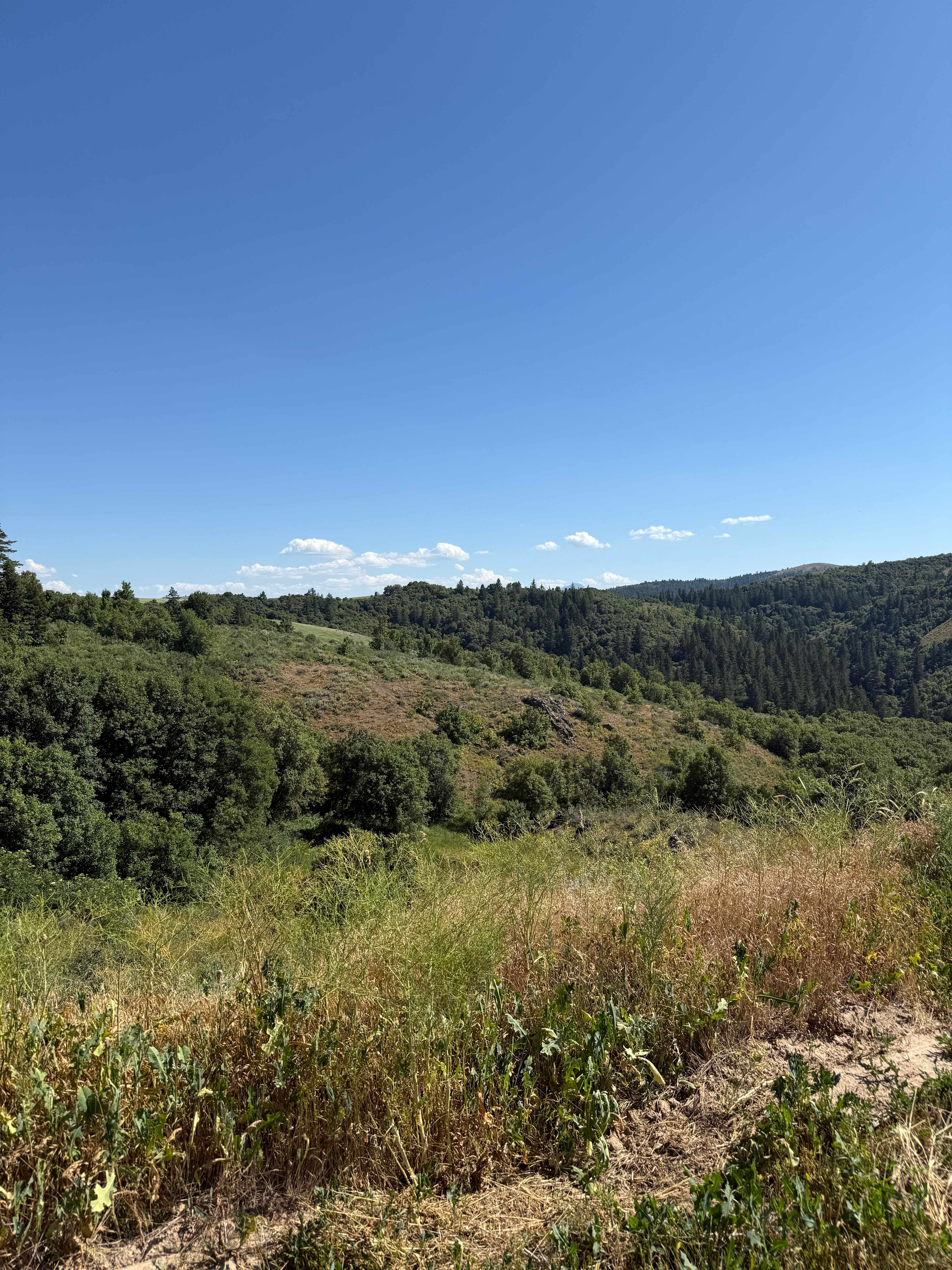 Moonlight Mine Acres