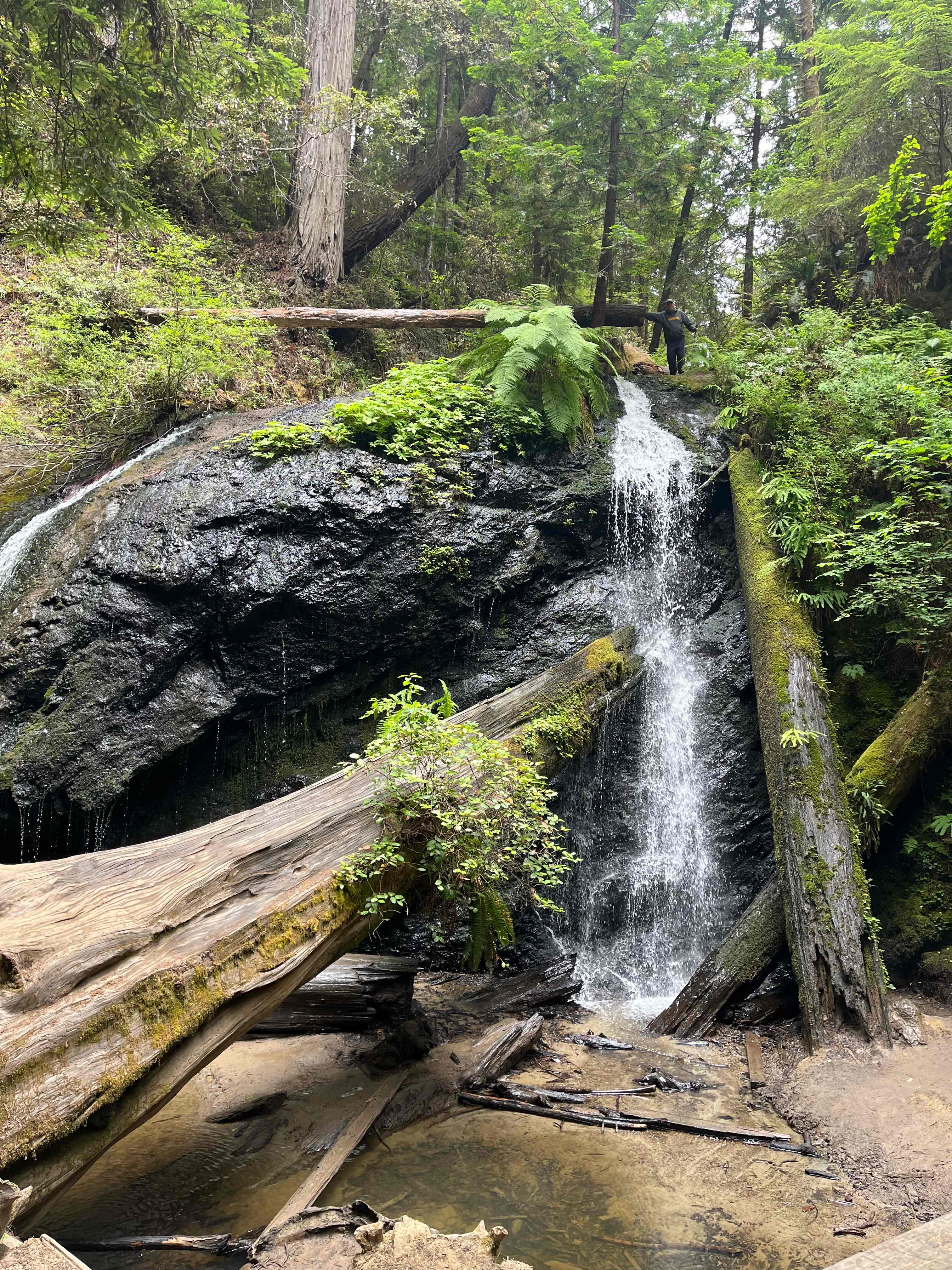Waterfall Camp