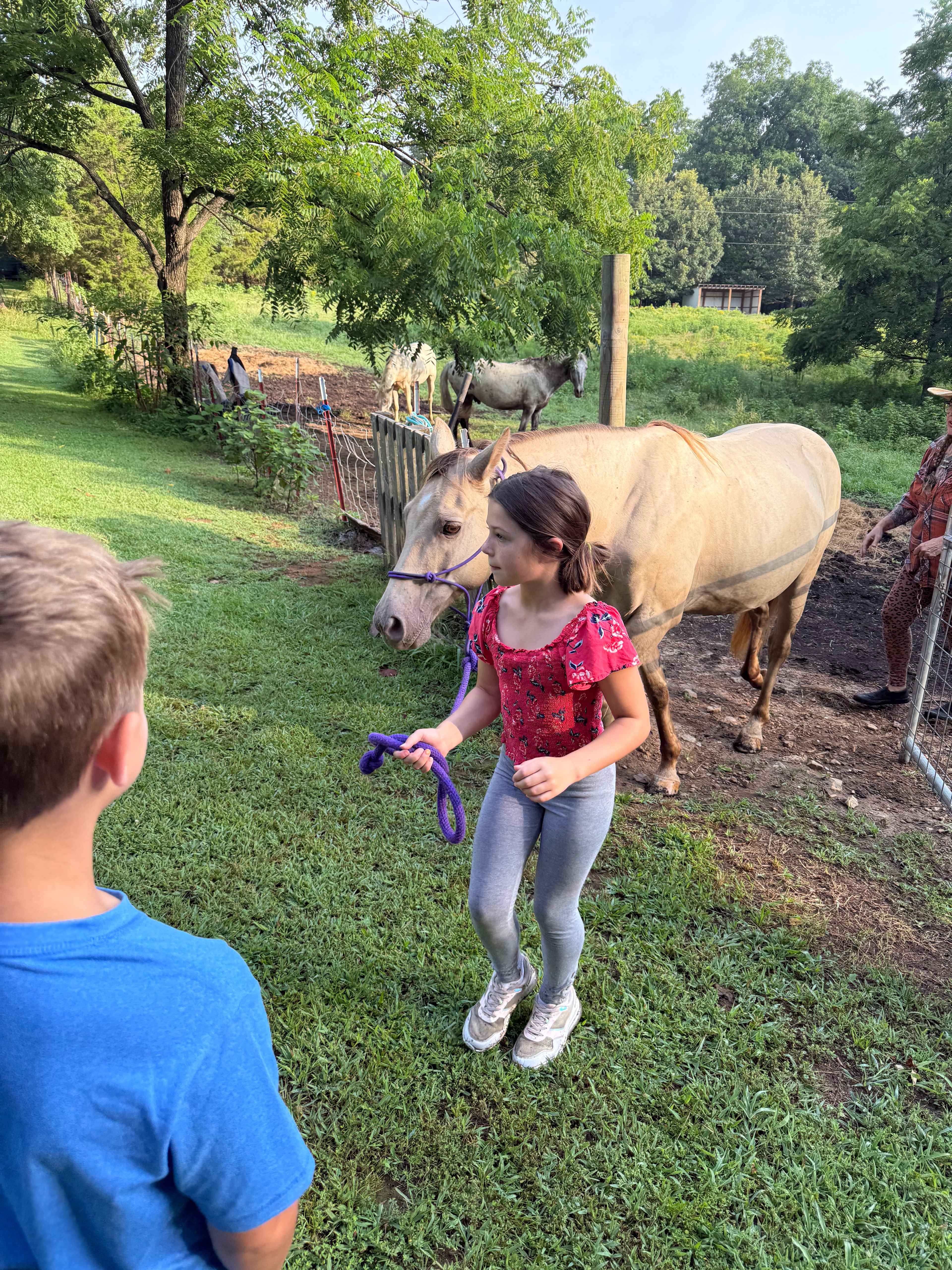 Sacred Dog Ranch