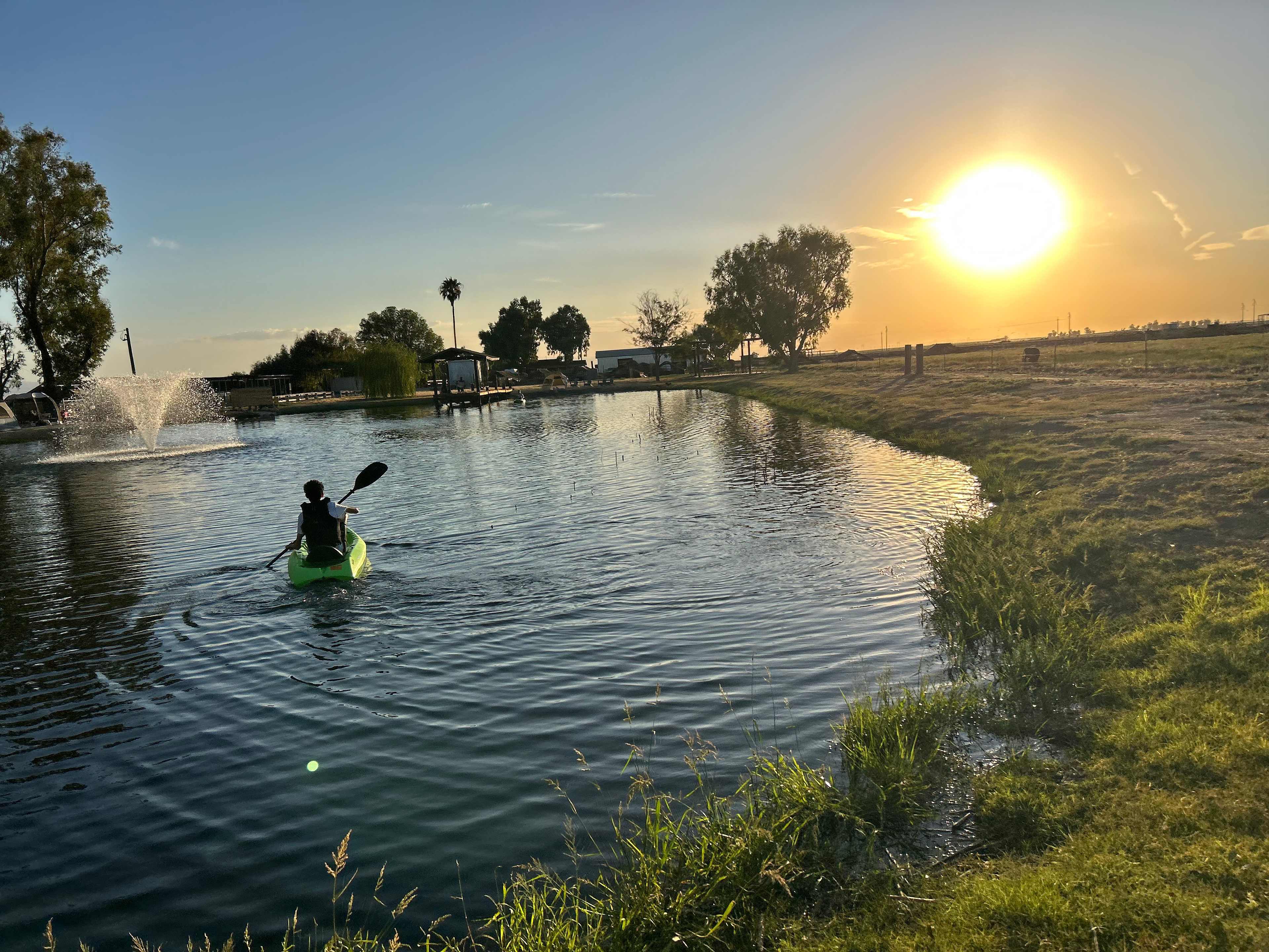 Bakersfield Farm Animals & Pond