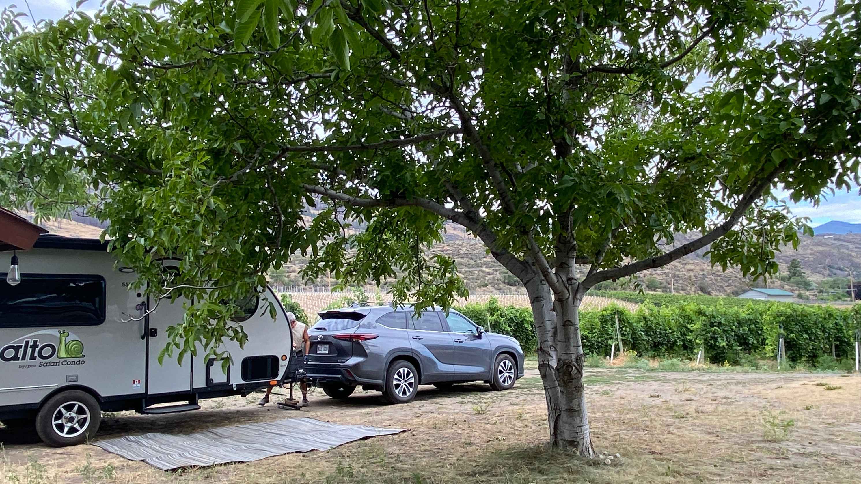 Mythology Vineyard
