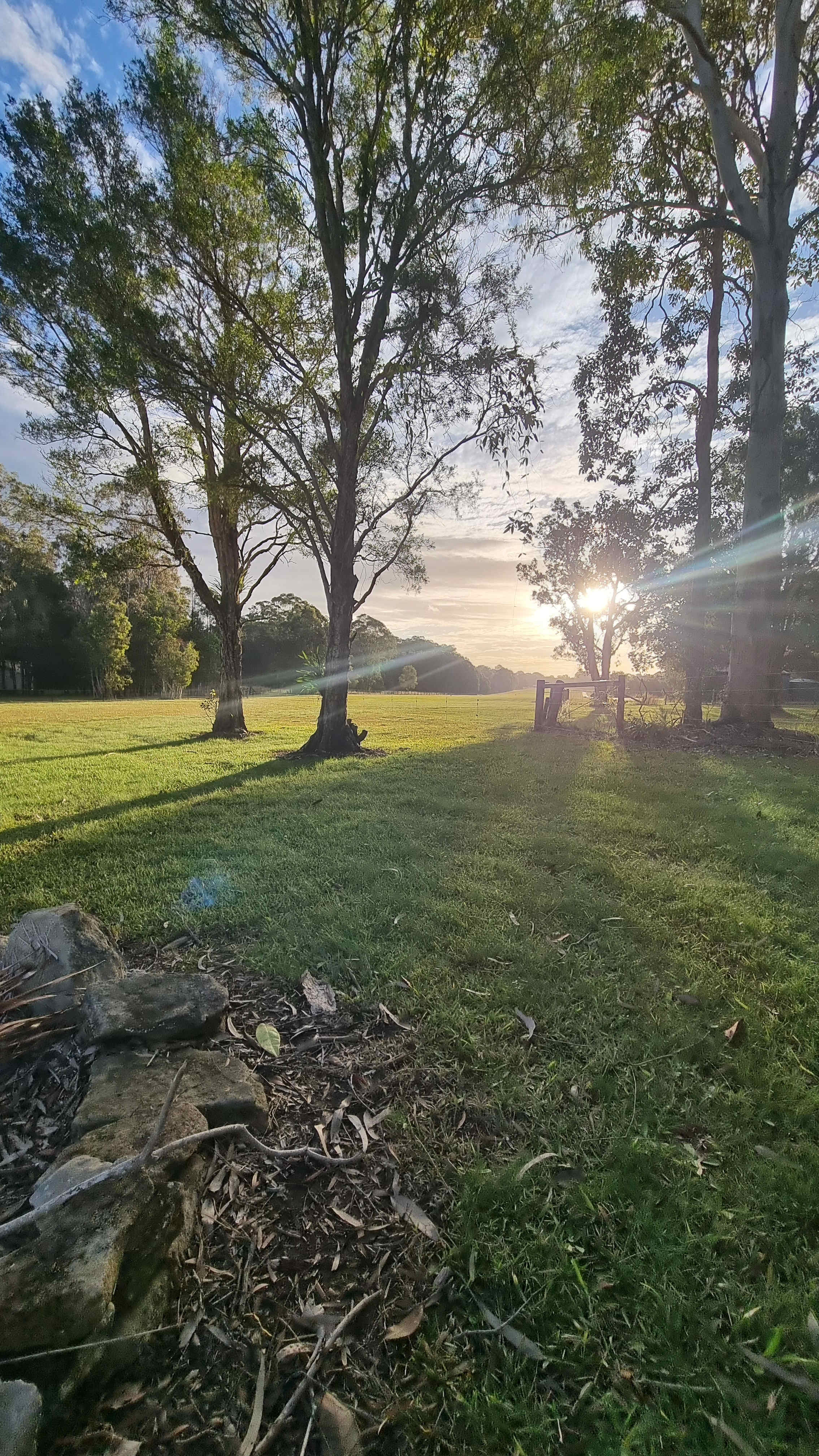 Silverview Escapes Tinbeerwah