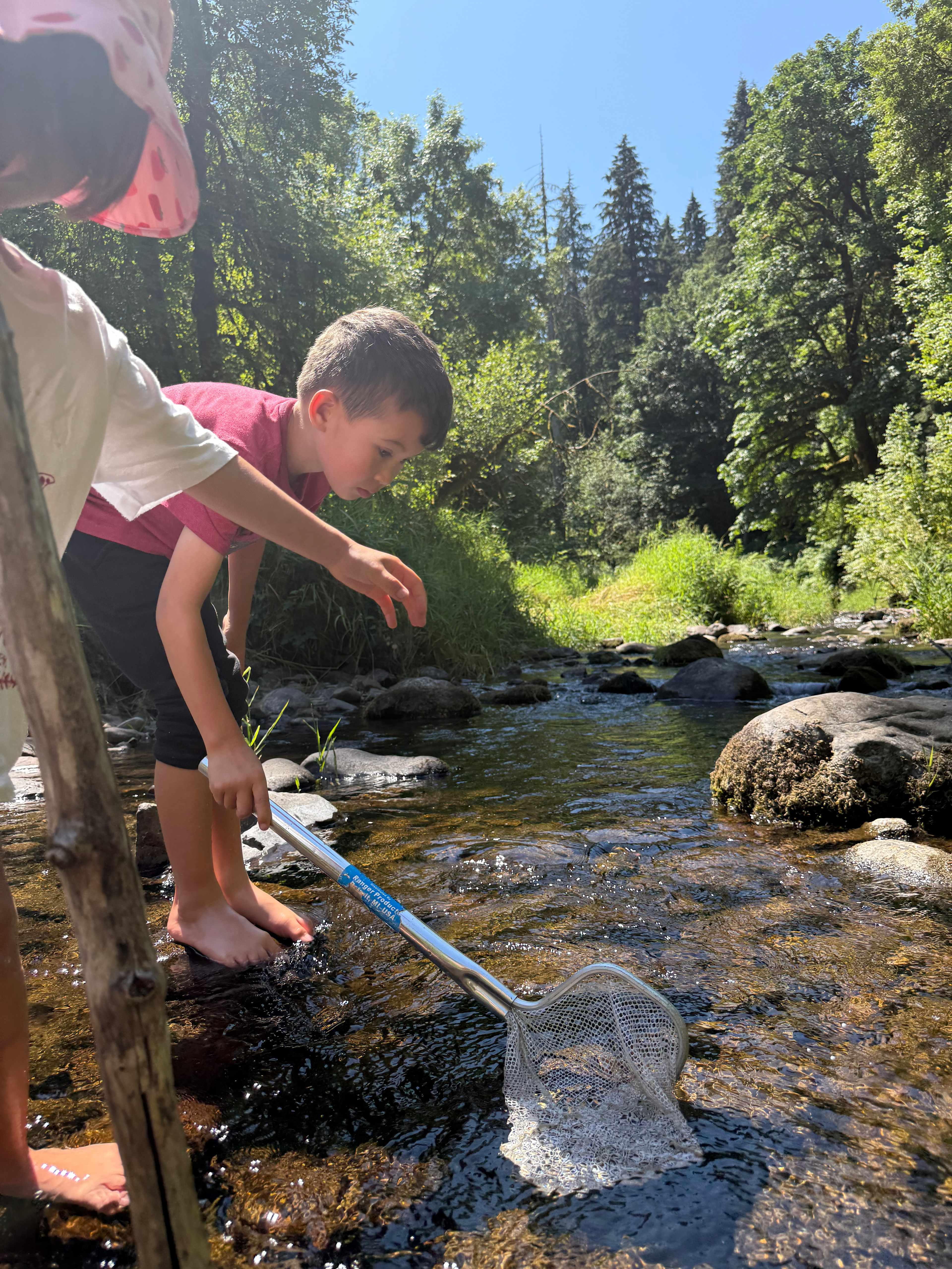 Nature Camp, Cabin and Farm