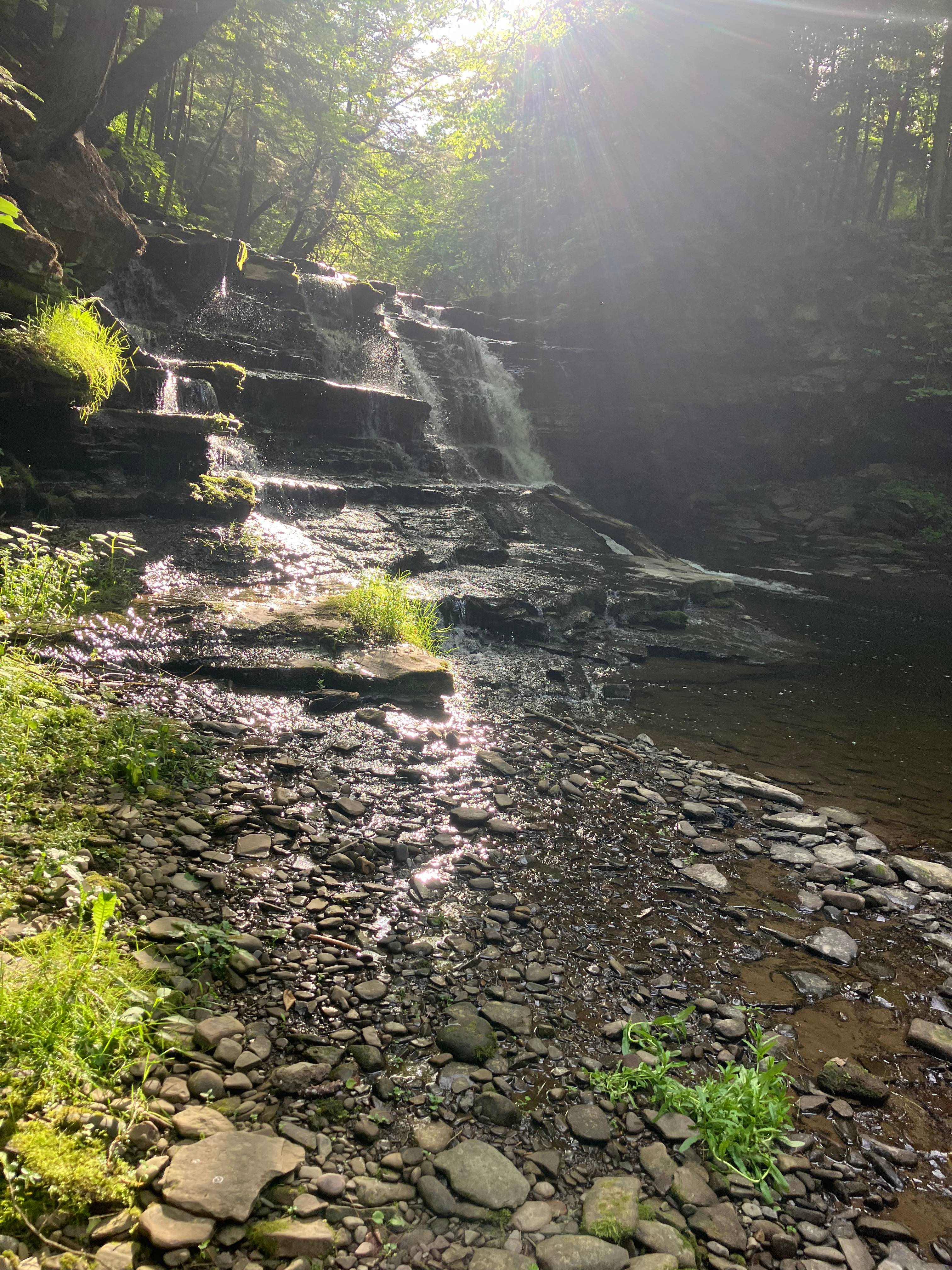 Towner's Country Paradise