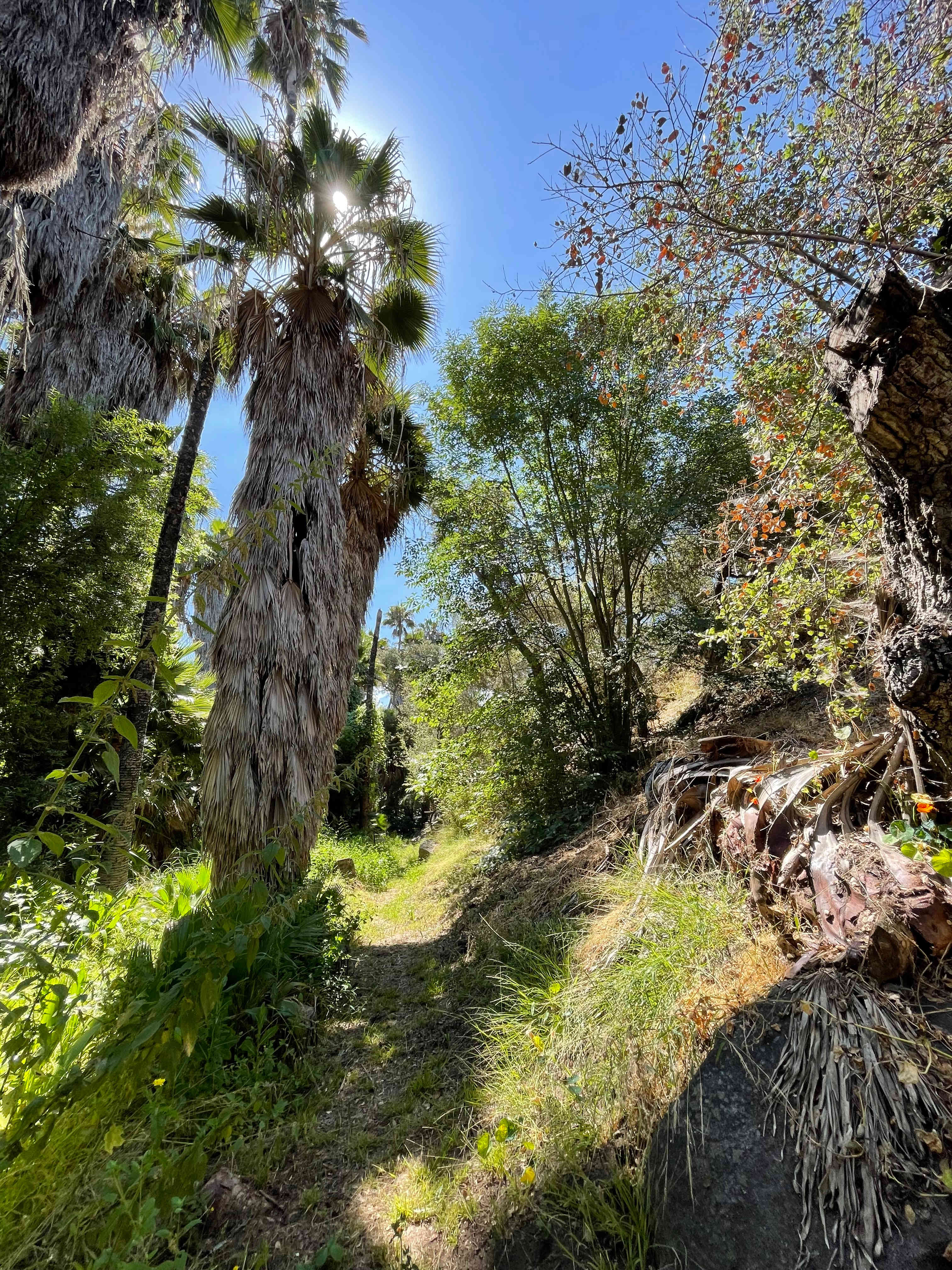 Hidden Waters