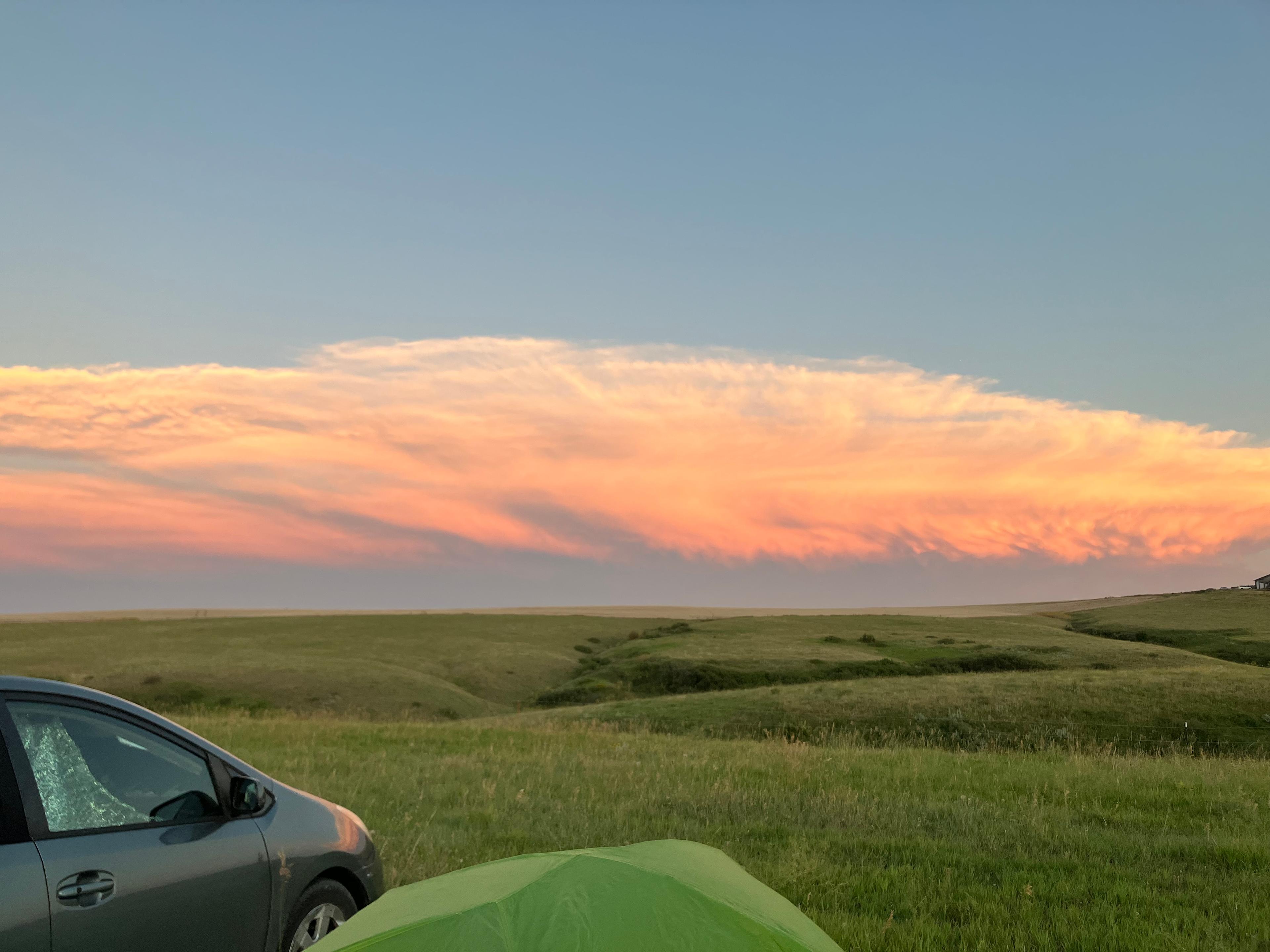 Montana Safari