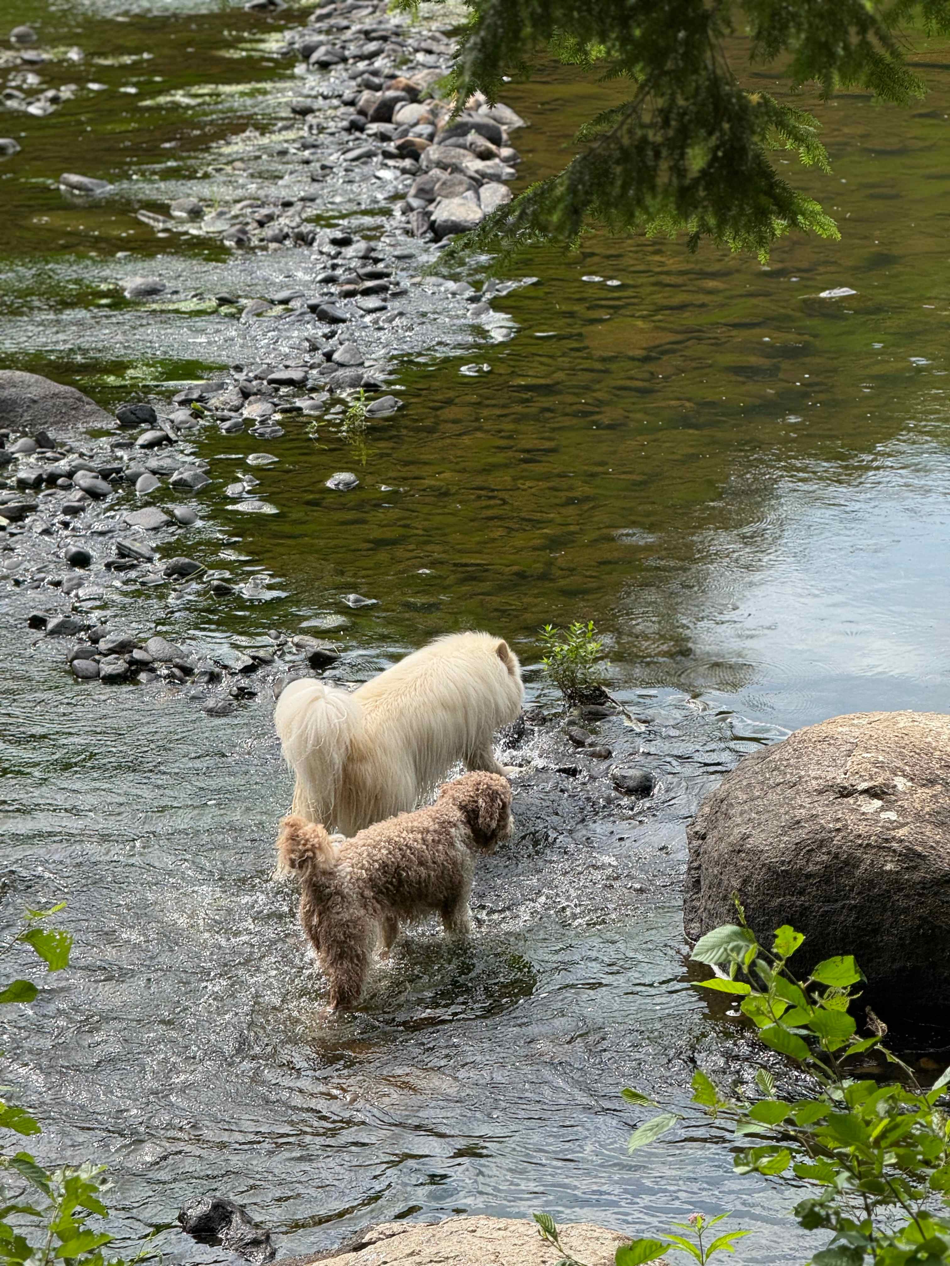 Flatrock on the River