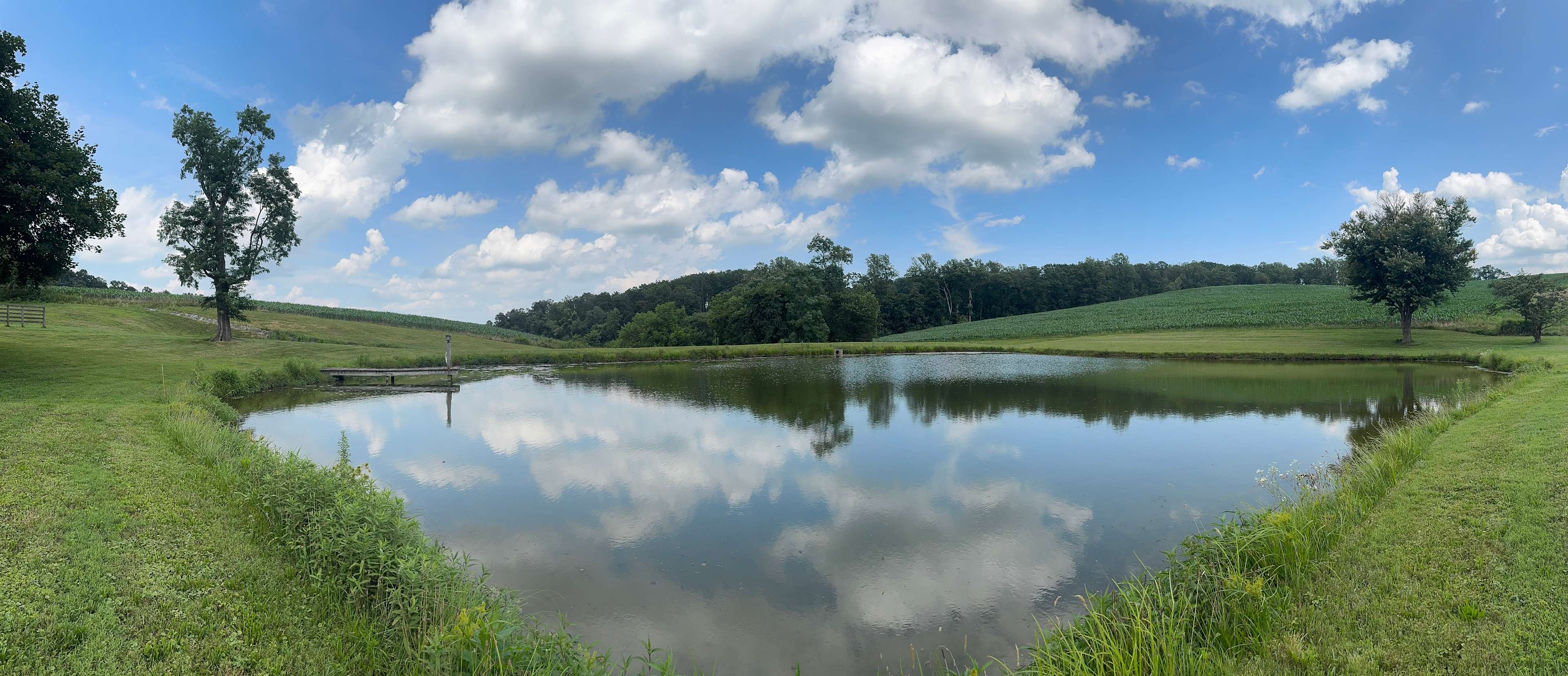Views of woods, pond, and sunrise