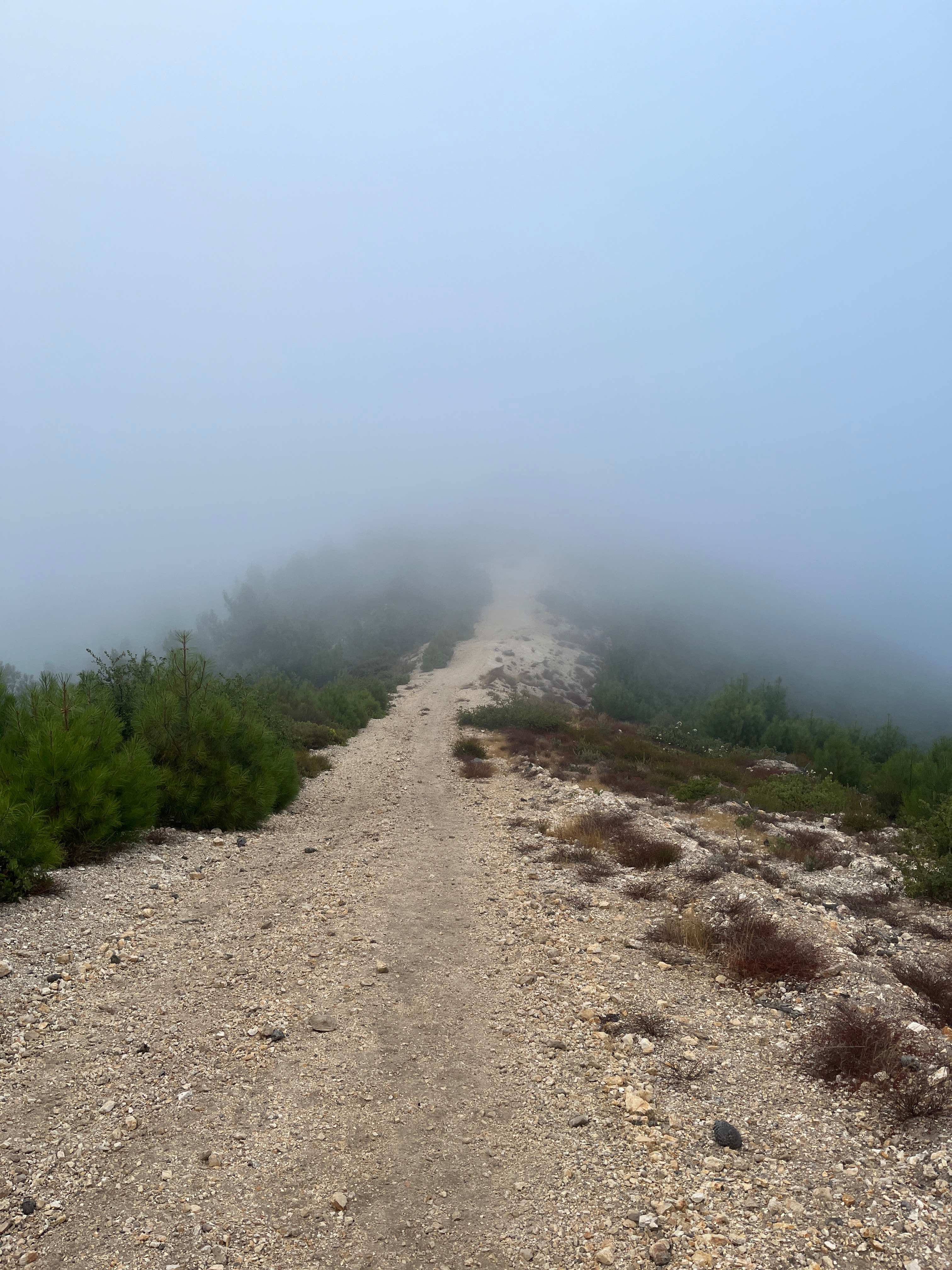 Mt Rancho (FKA La Montaña Ranch)