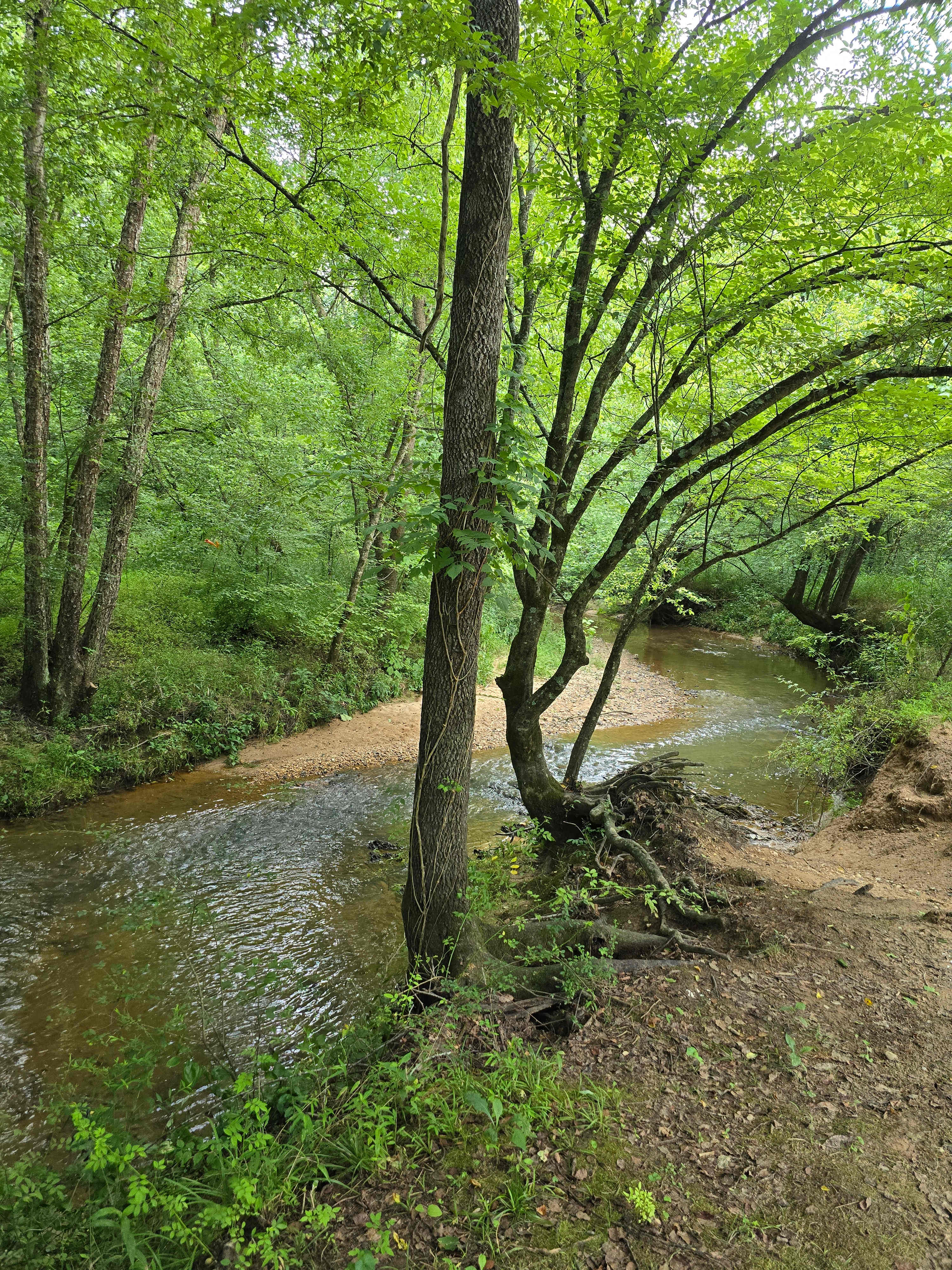 The Oasis at Harmon Creek Farms