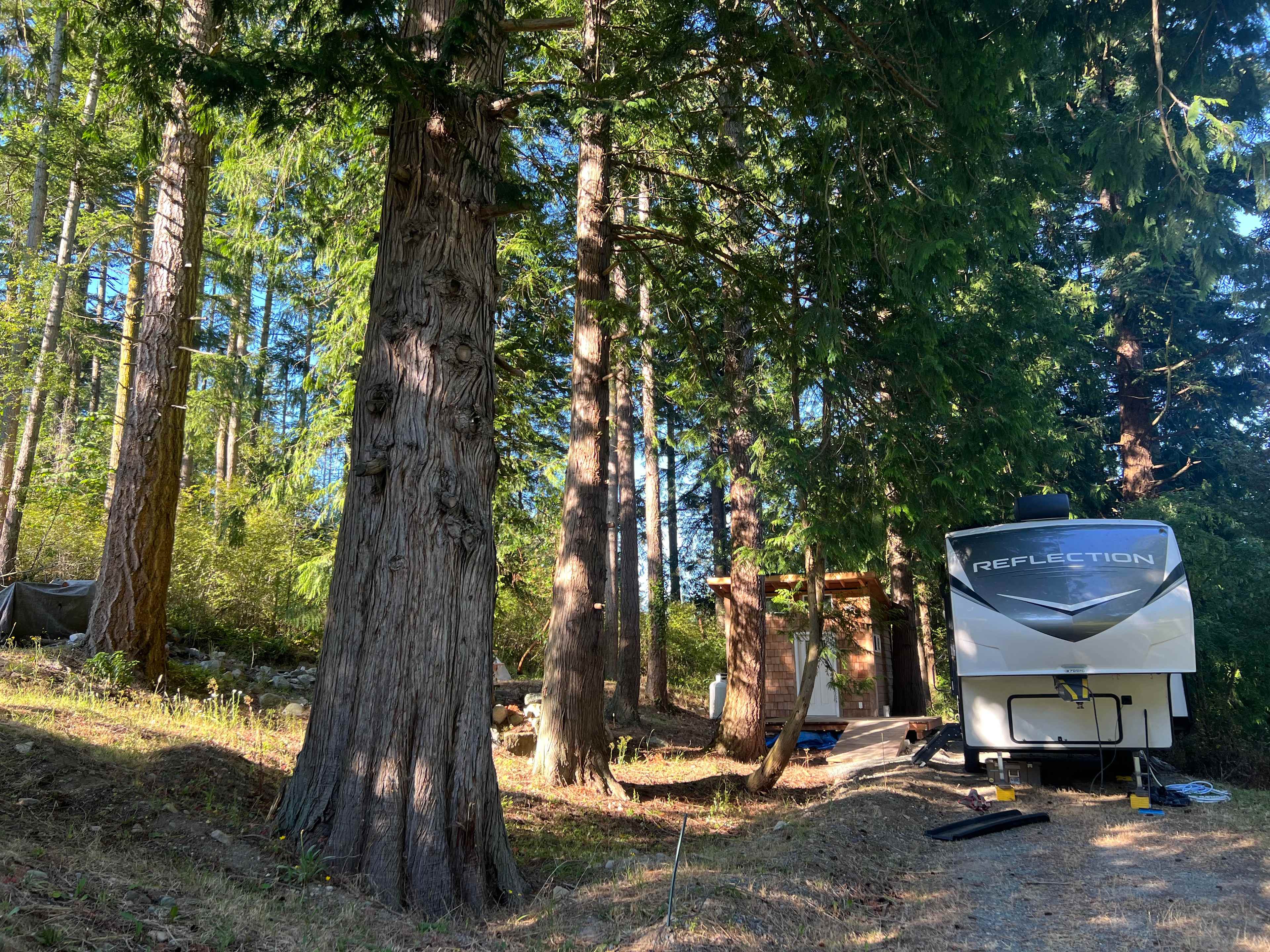 trees, berm, bathhouse + pad