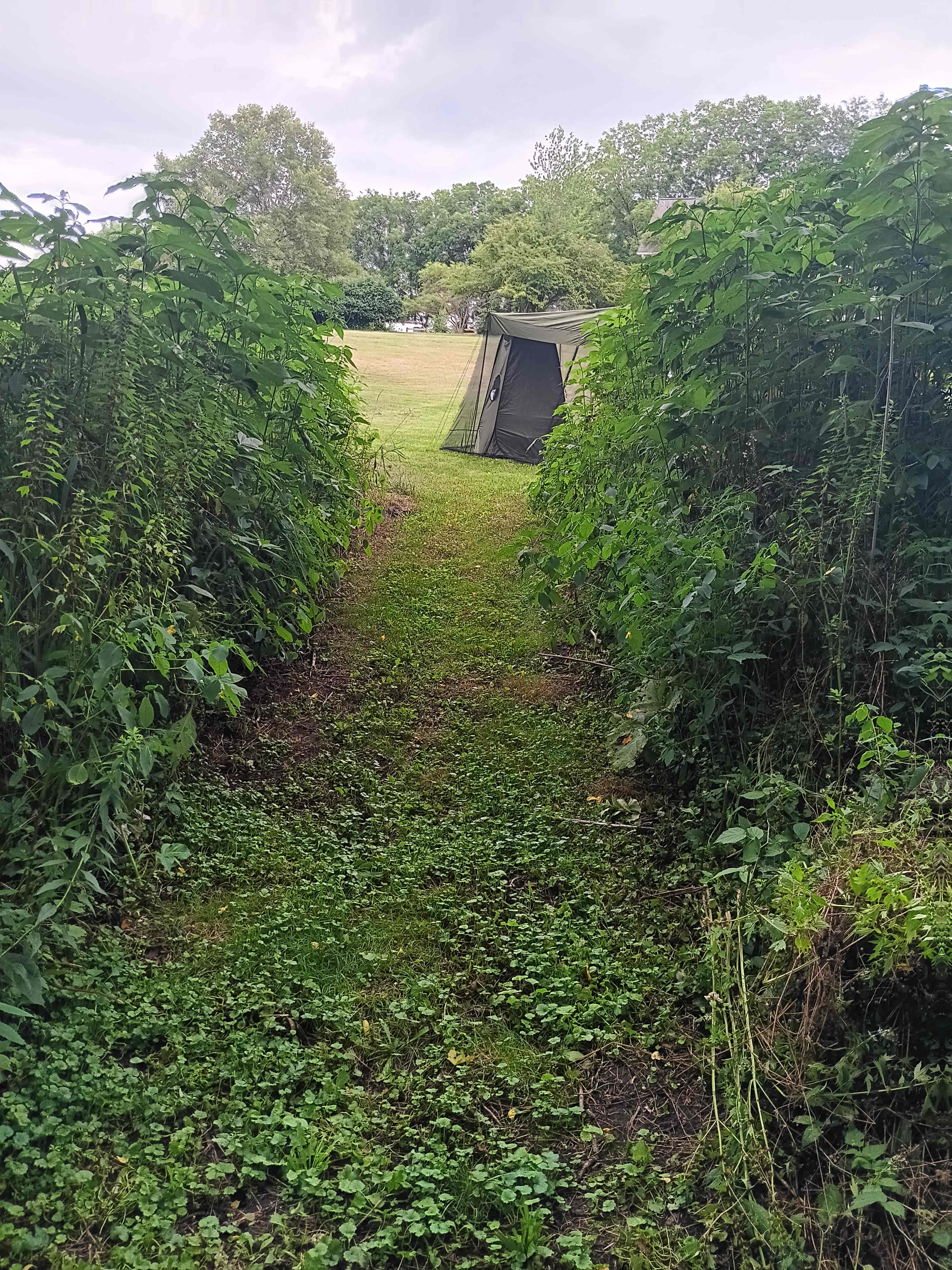 My tent peeking out at the end of the trail.