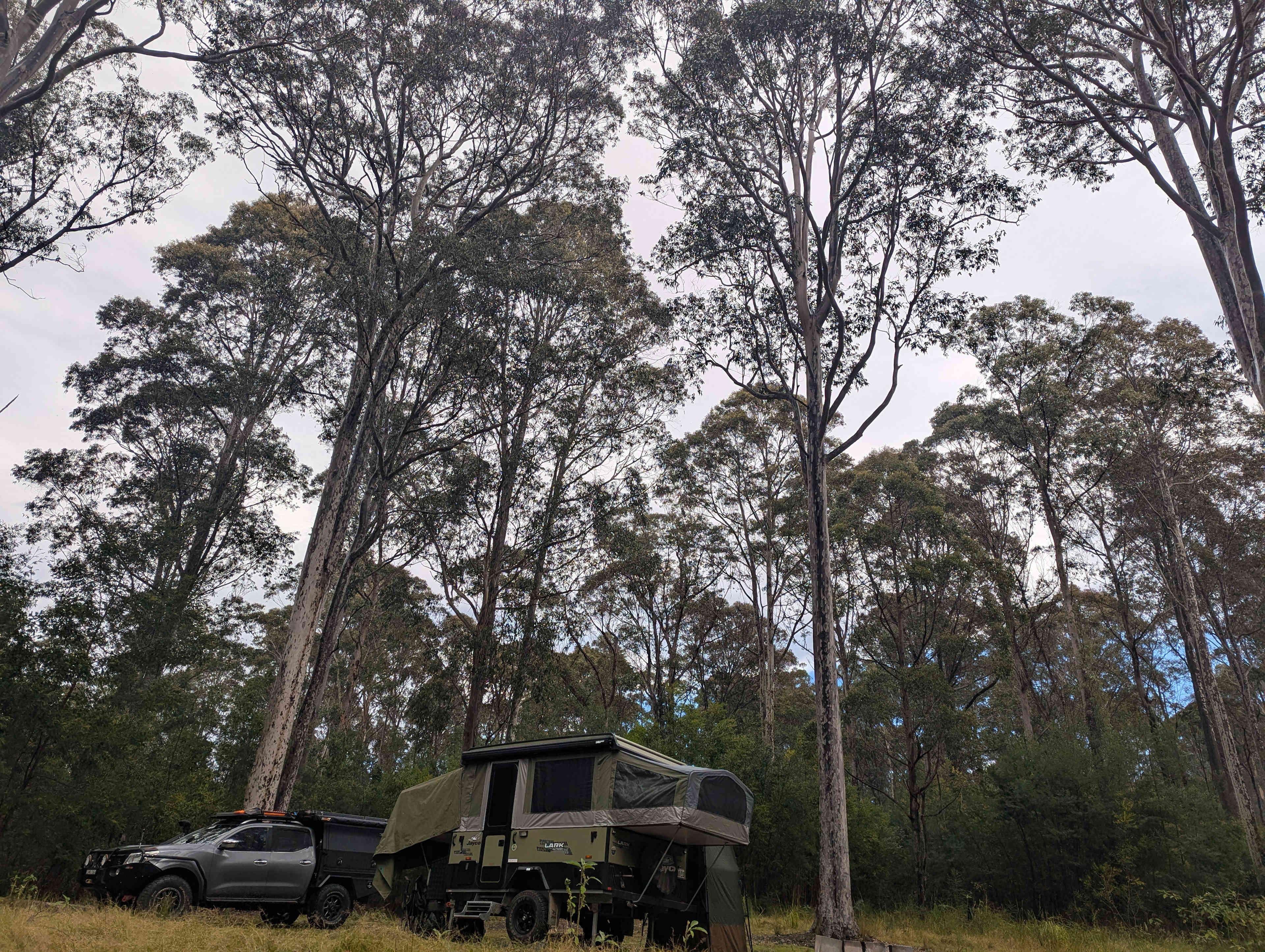 Challoner Lodge - Spotted Gum Hill