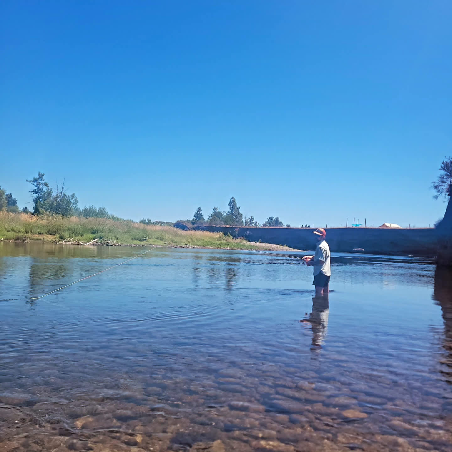 Can't keep him away from the water lol. Super pretty and isolated. 