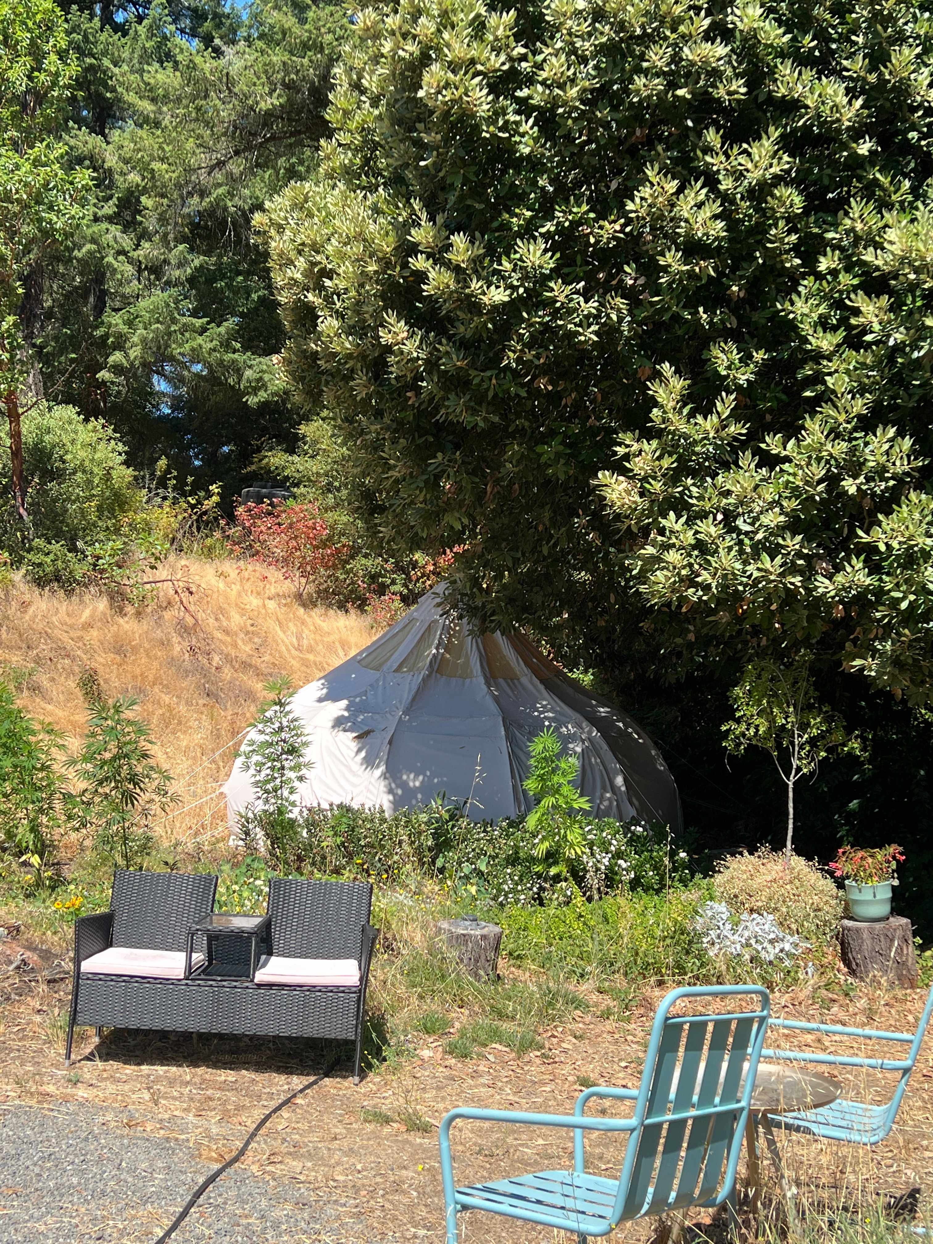 Deluxe Bell tent