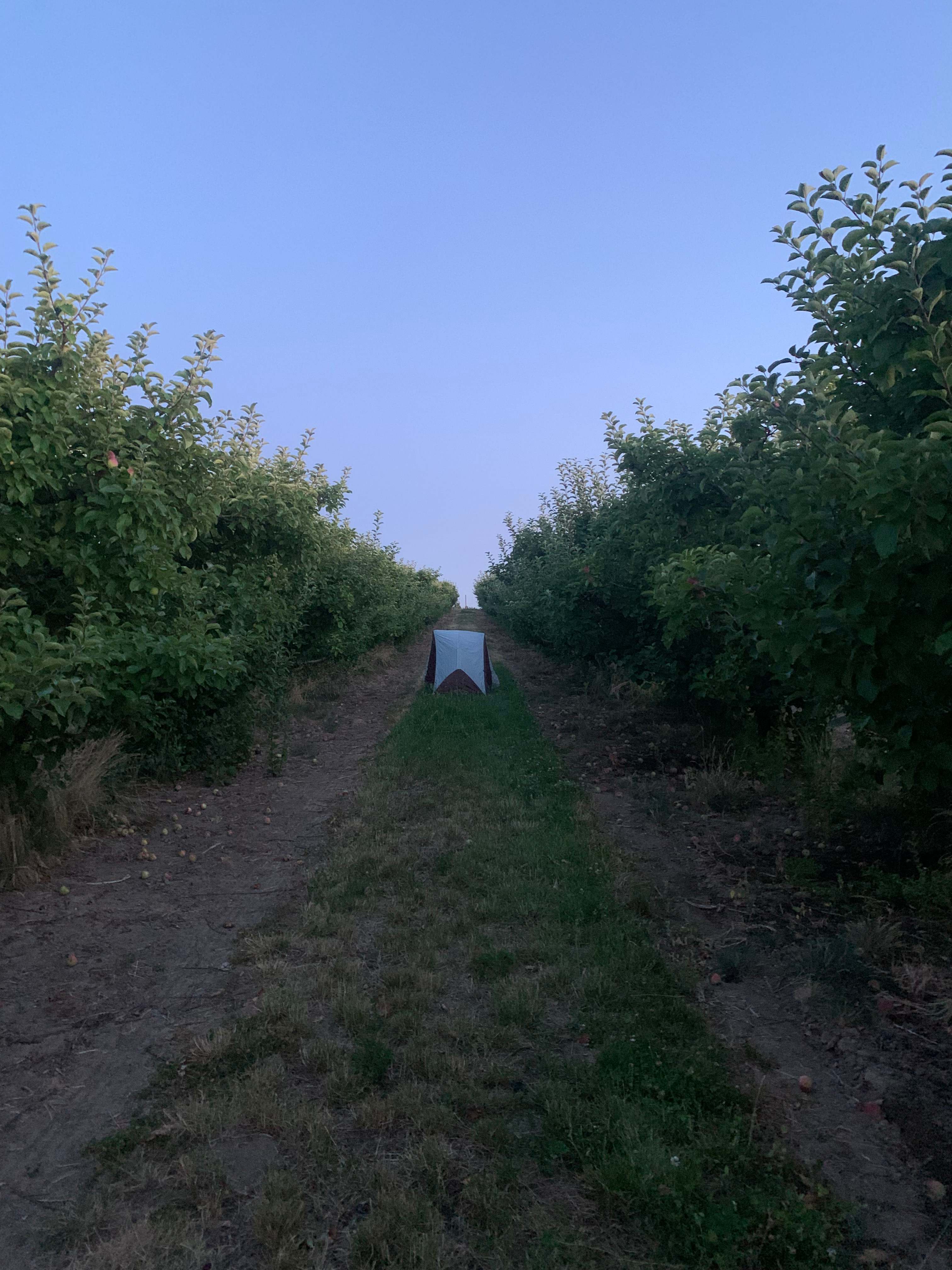 Hidden Acres Orchards