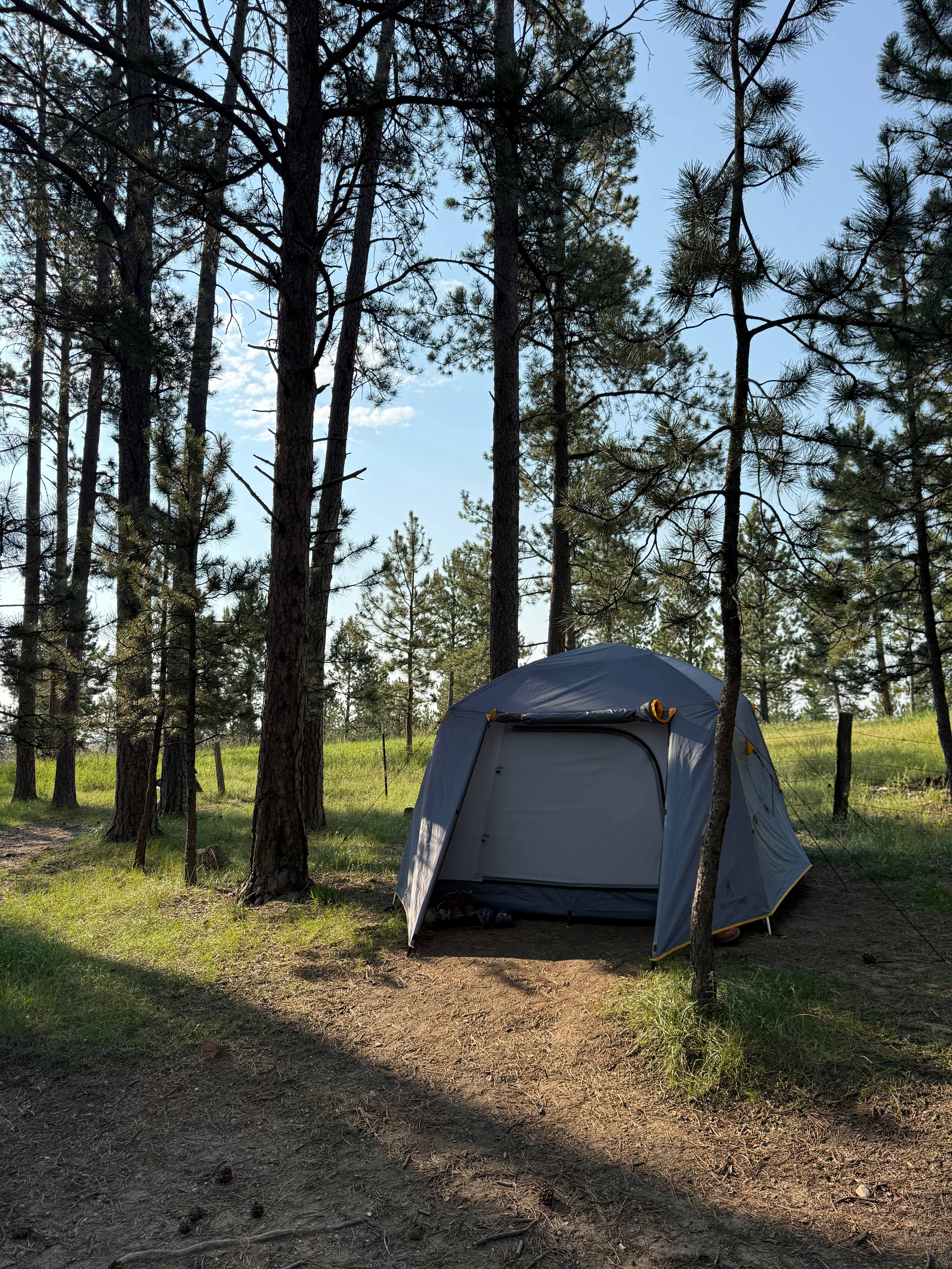 Site 85