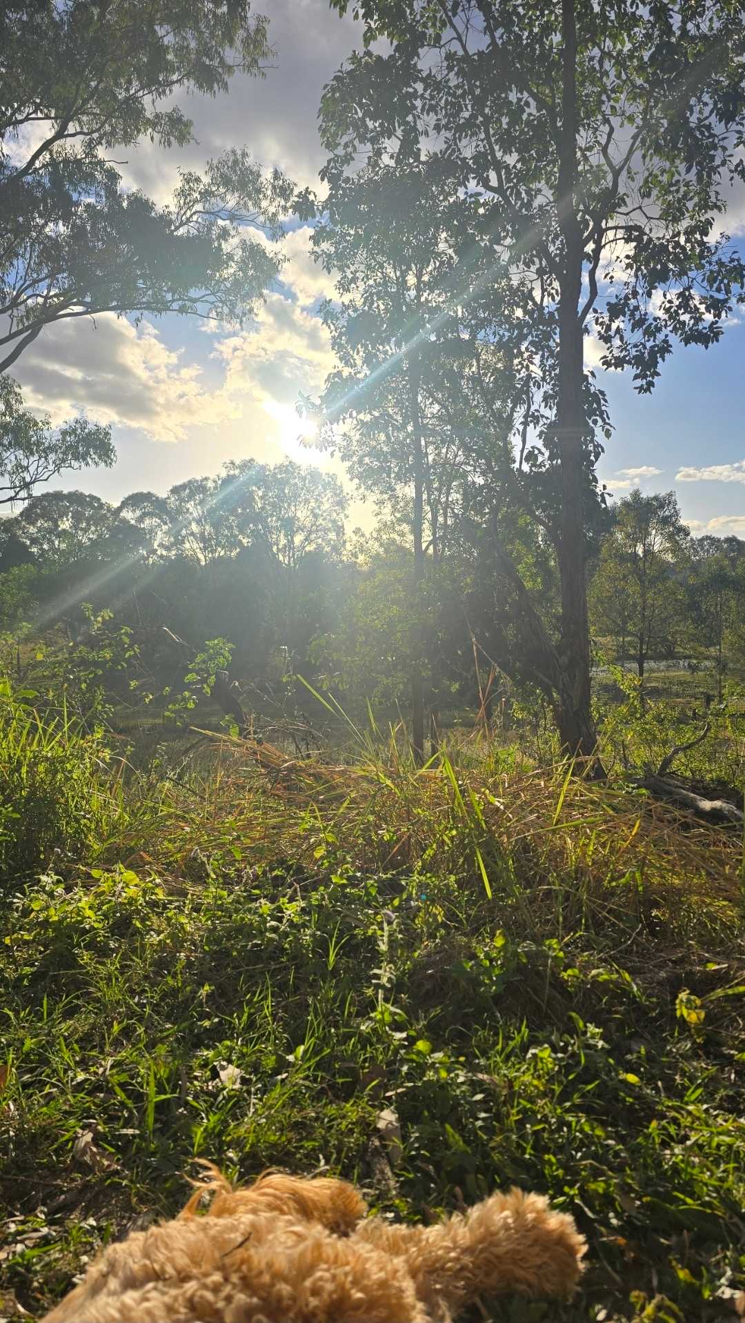 Buranga Farm