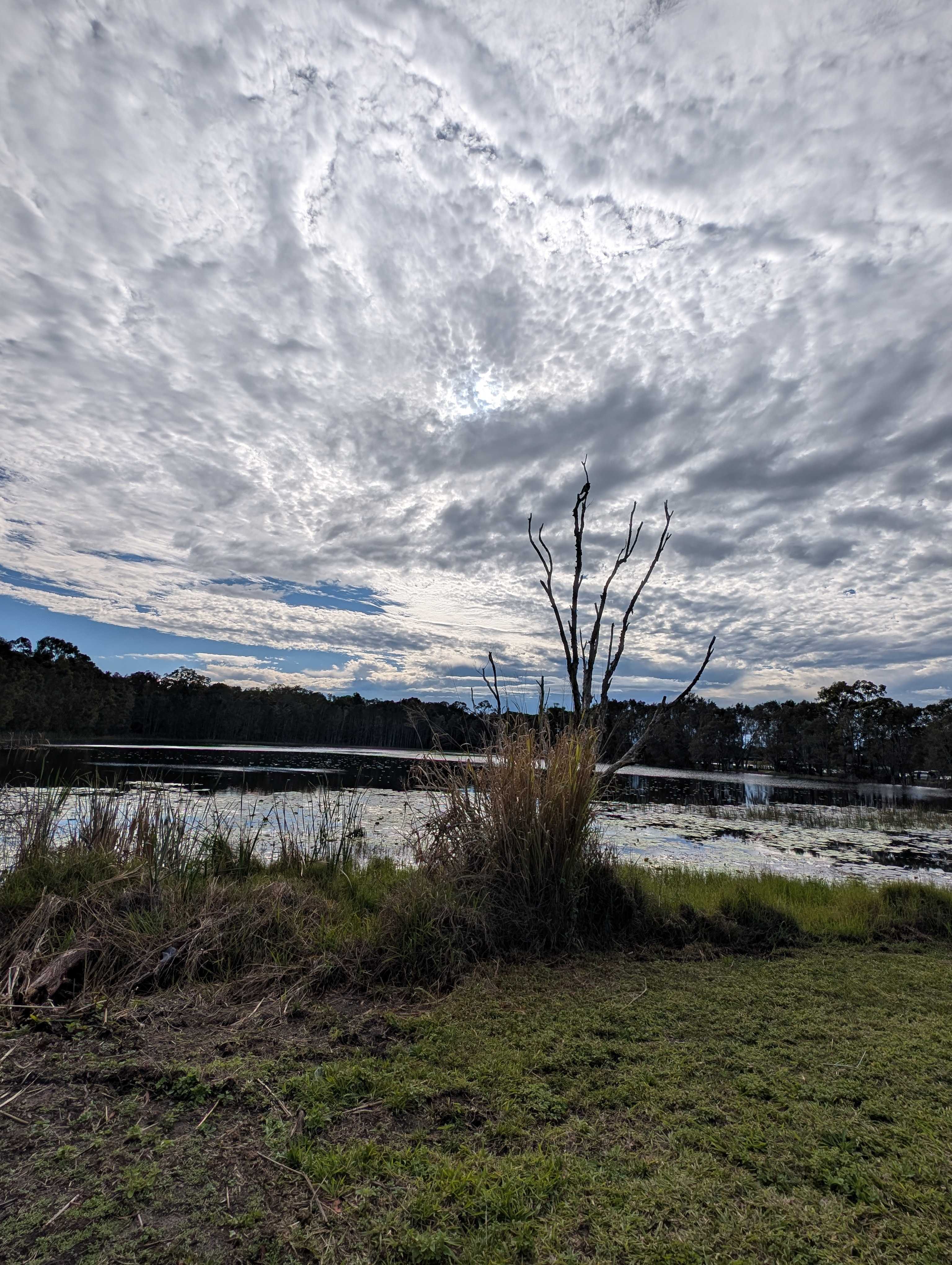 The Magic Pond