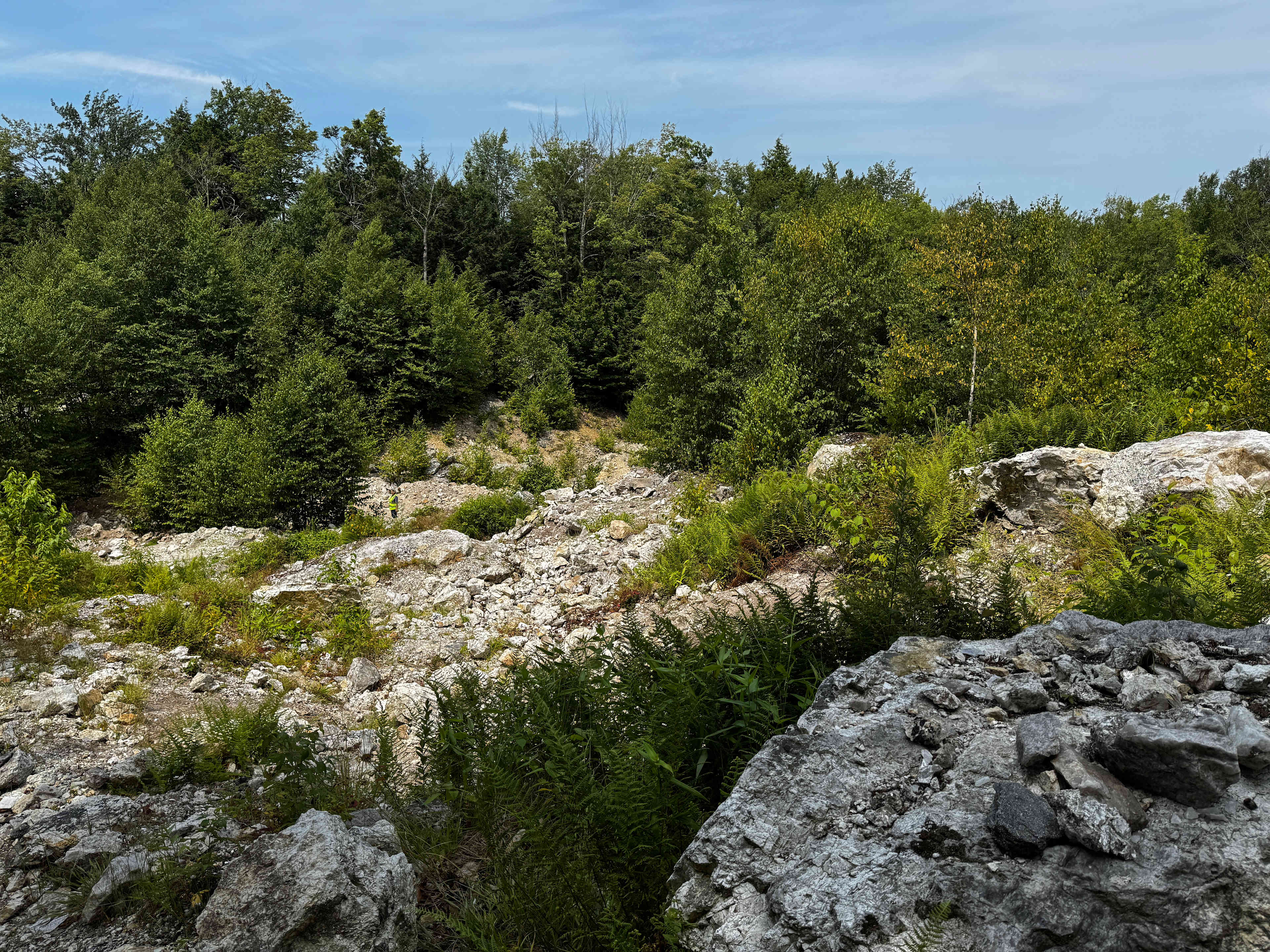 Tripp Mine Gemstones & Camping