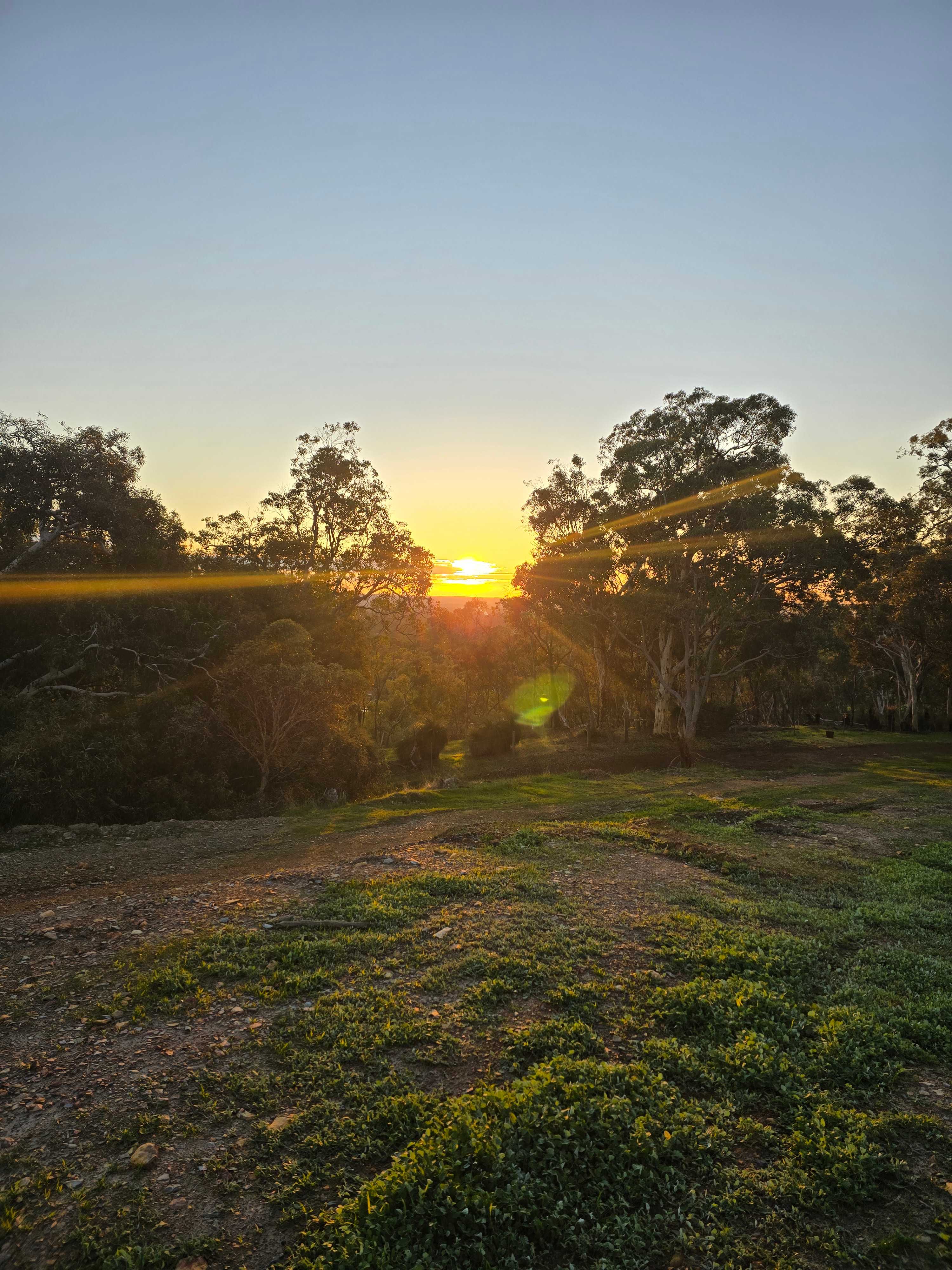 Yarrabah High Country- Jarrahdale