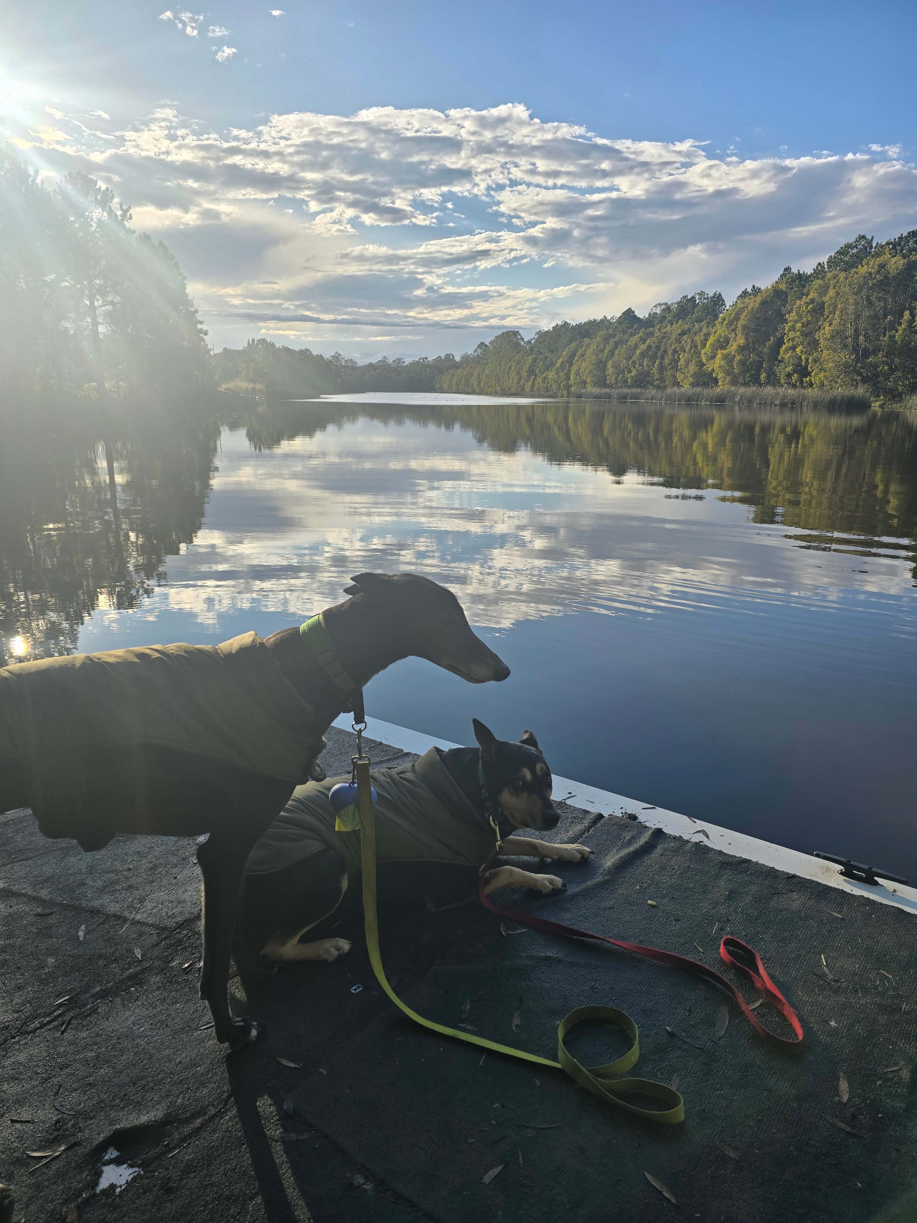 Exploring after the rain