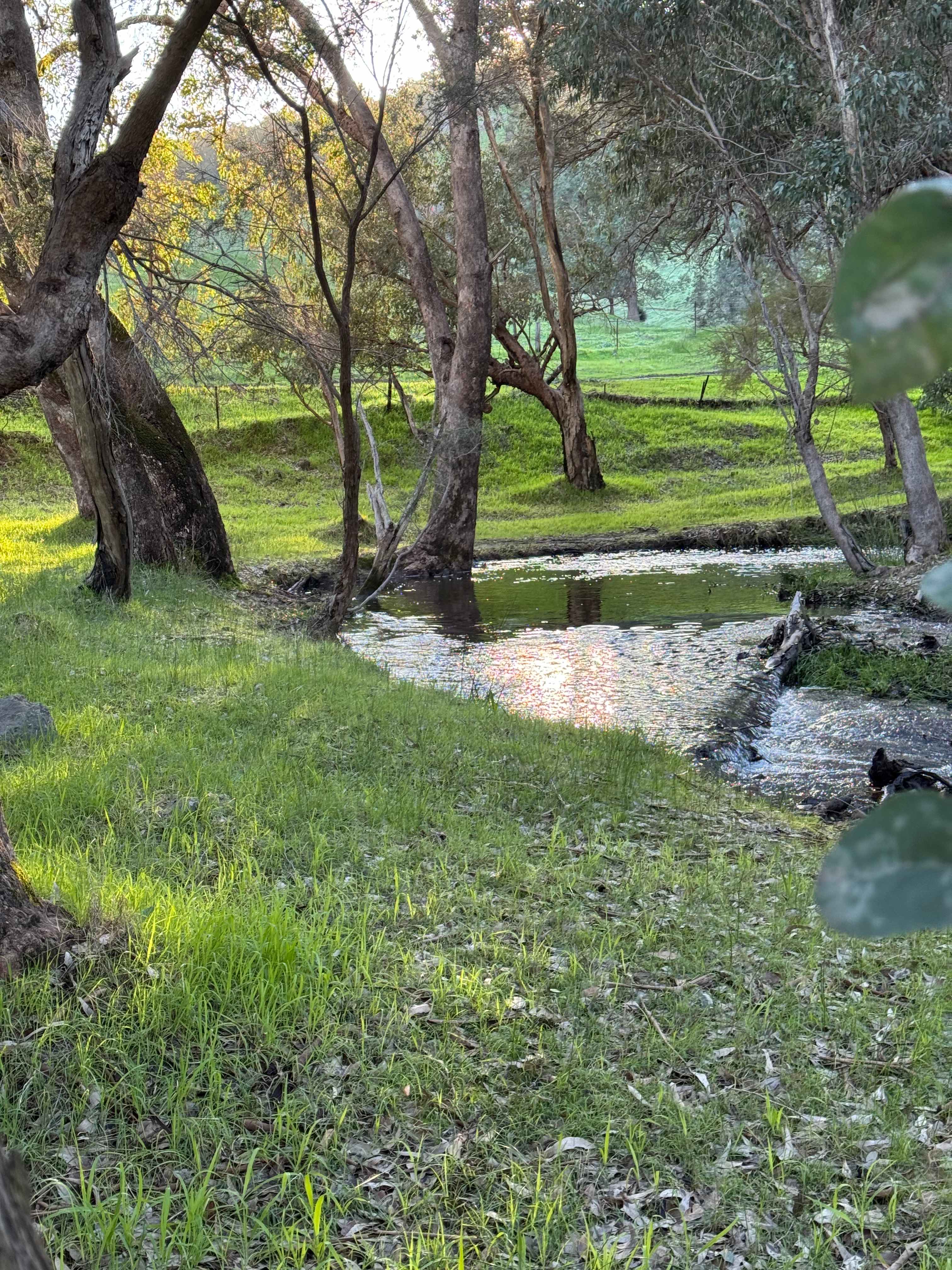 Bolinda Vale Farm