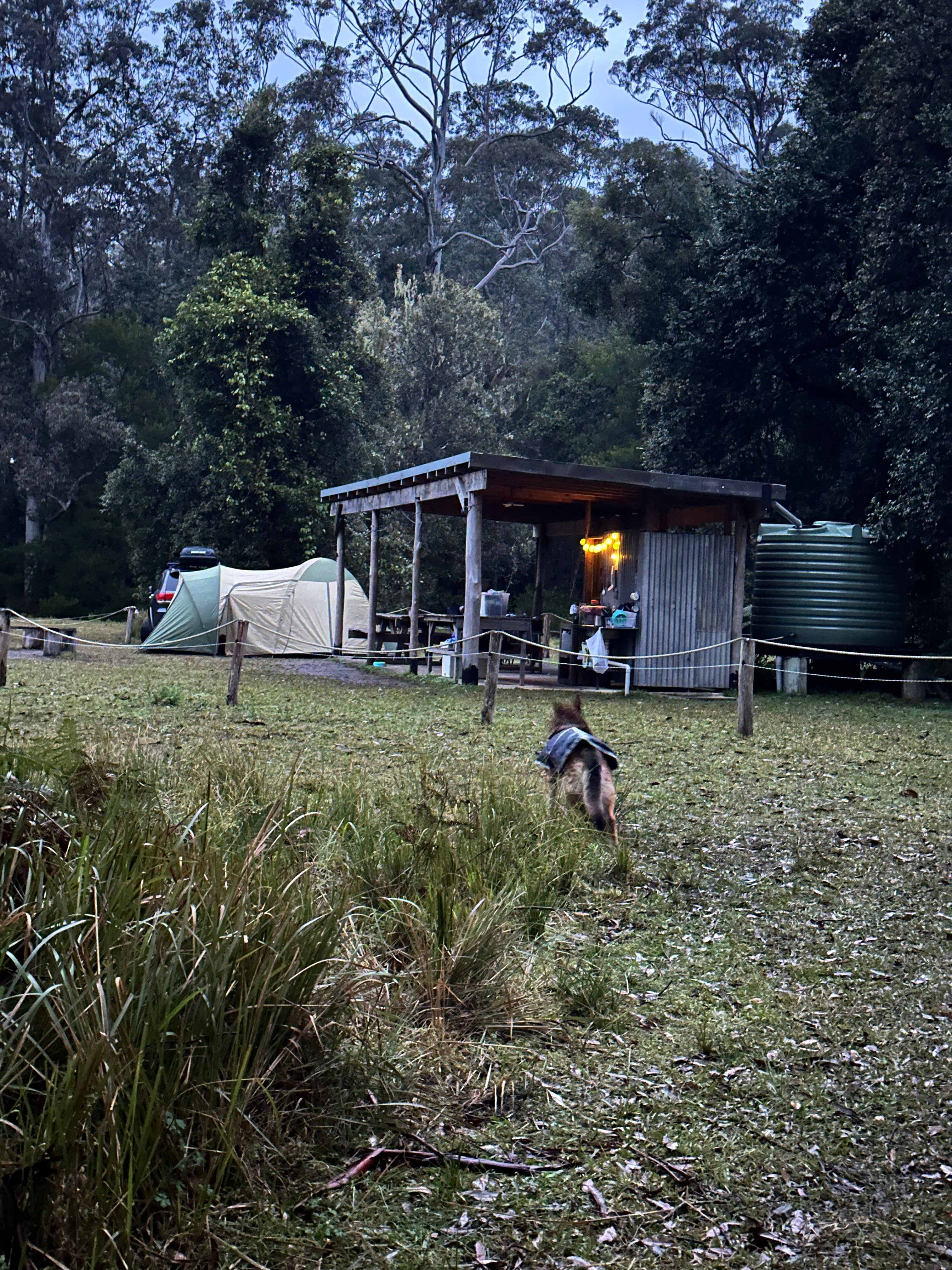 Shot of the camping site.