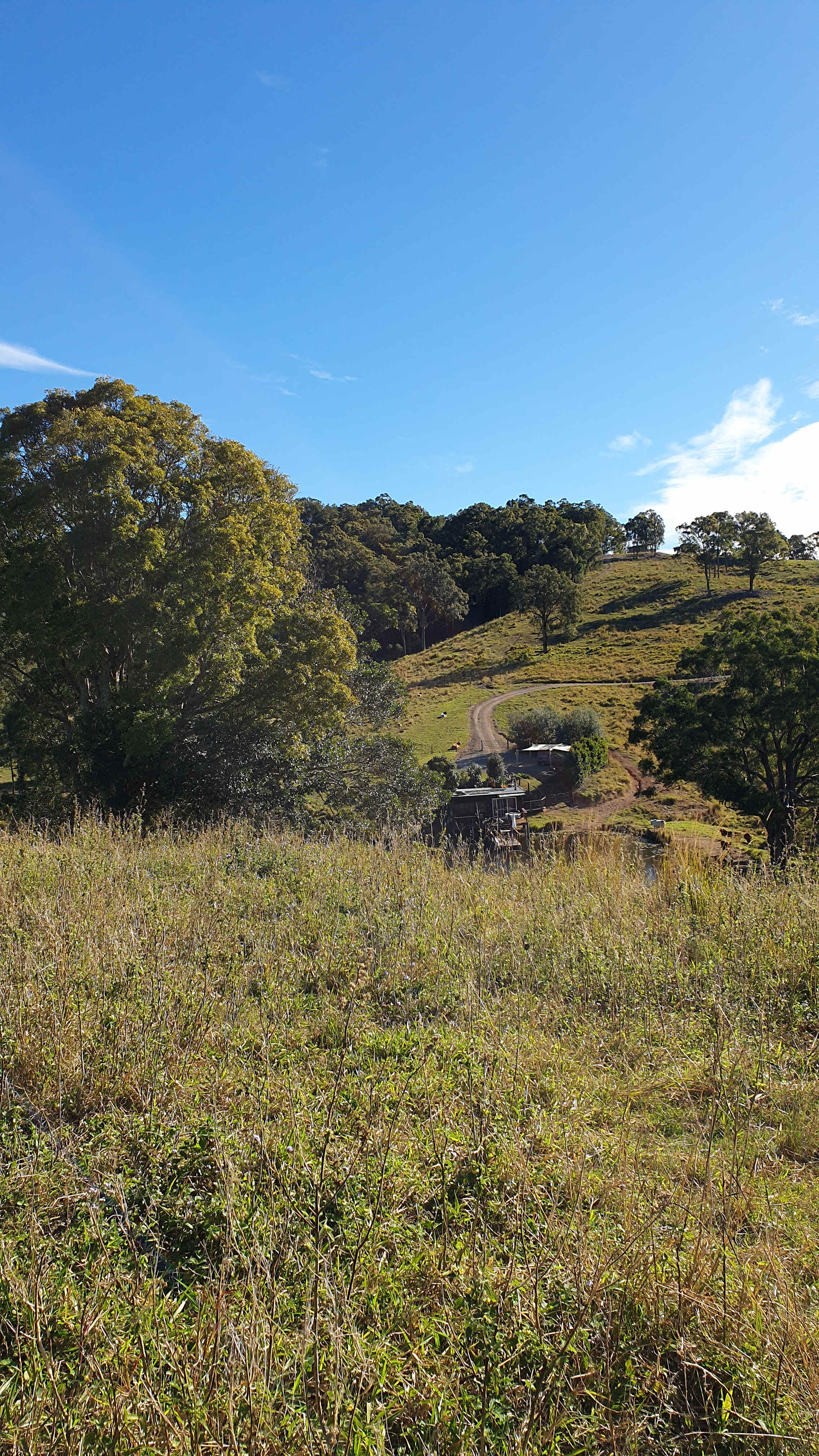 View of the cabin from up on the adjacent hill.