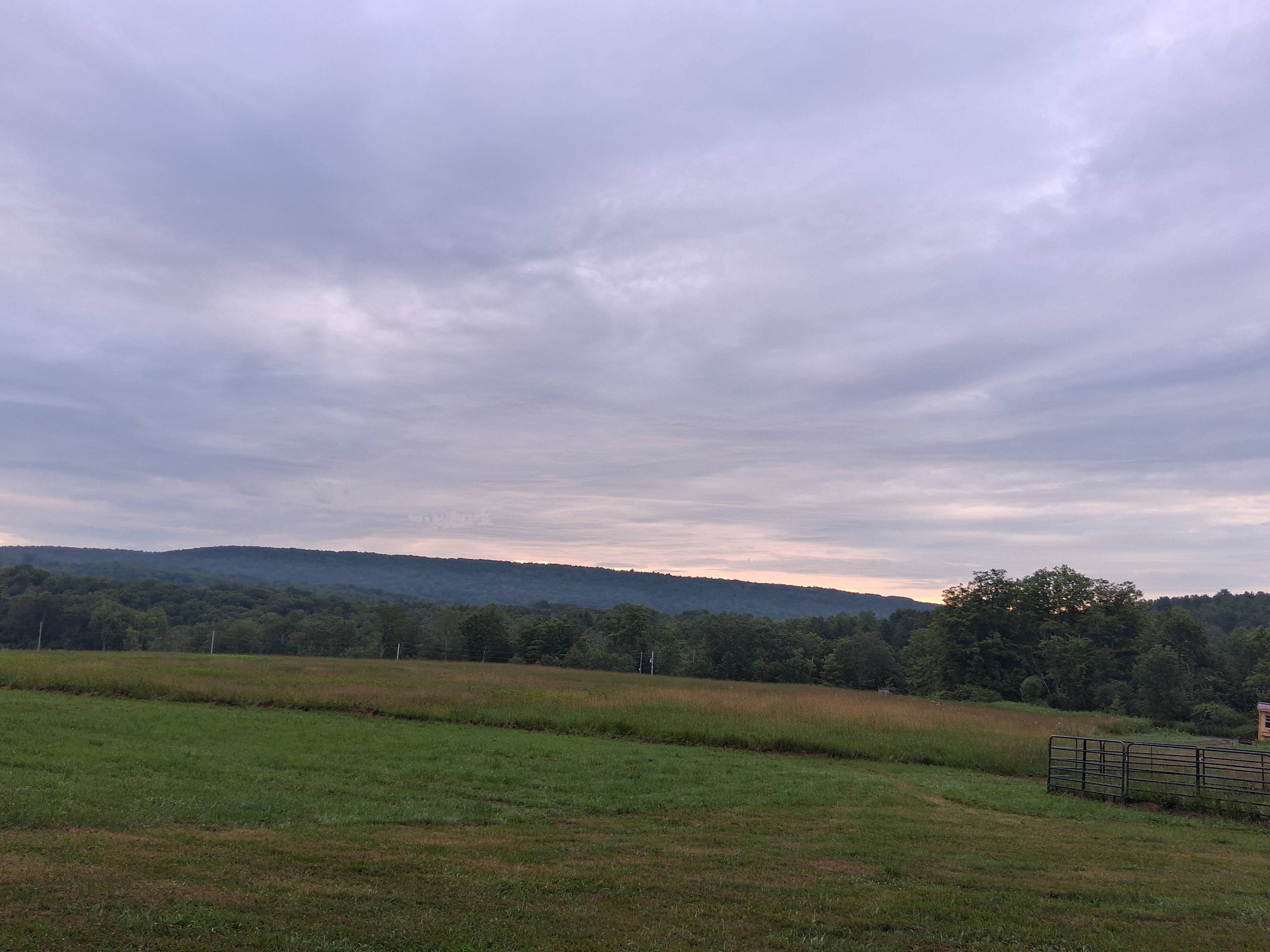 Martin’s Ranch