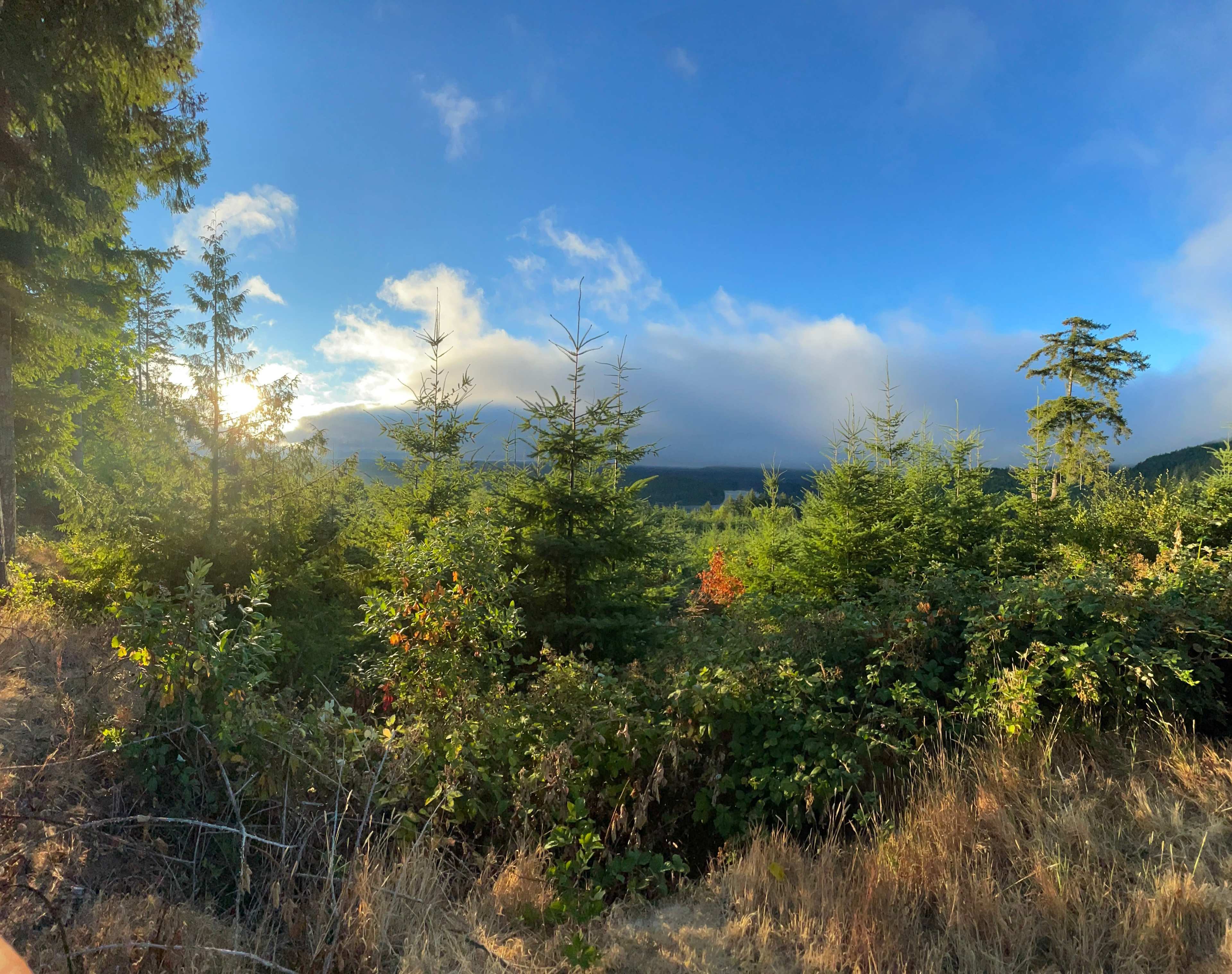 Hairy Eagle Lookout 🦅