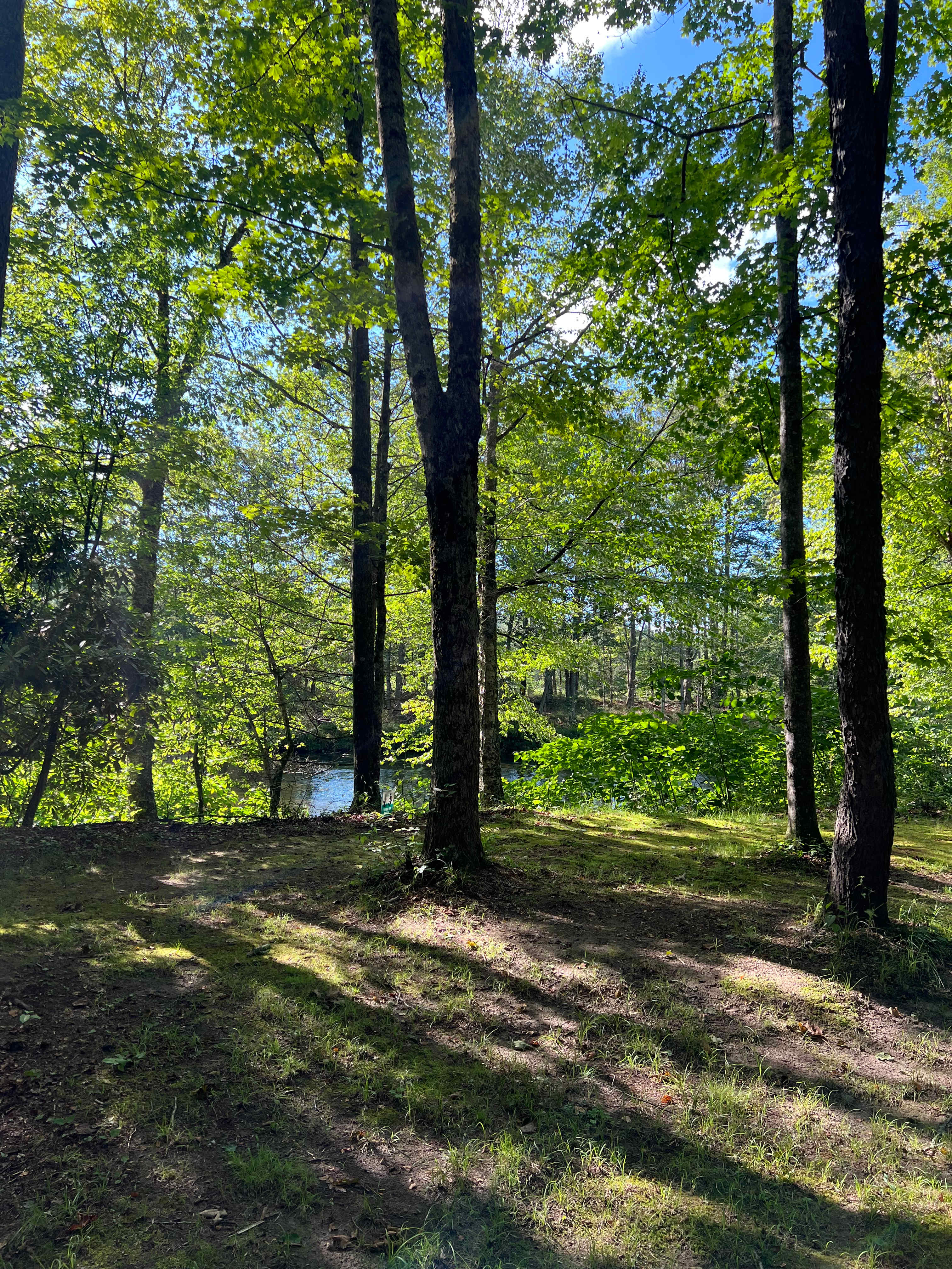 Neversink Sanctuary - Private Camp