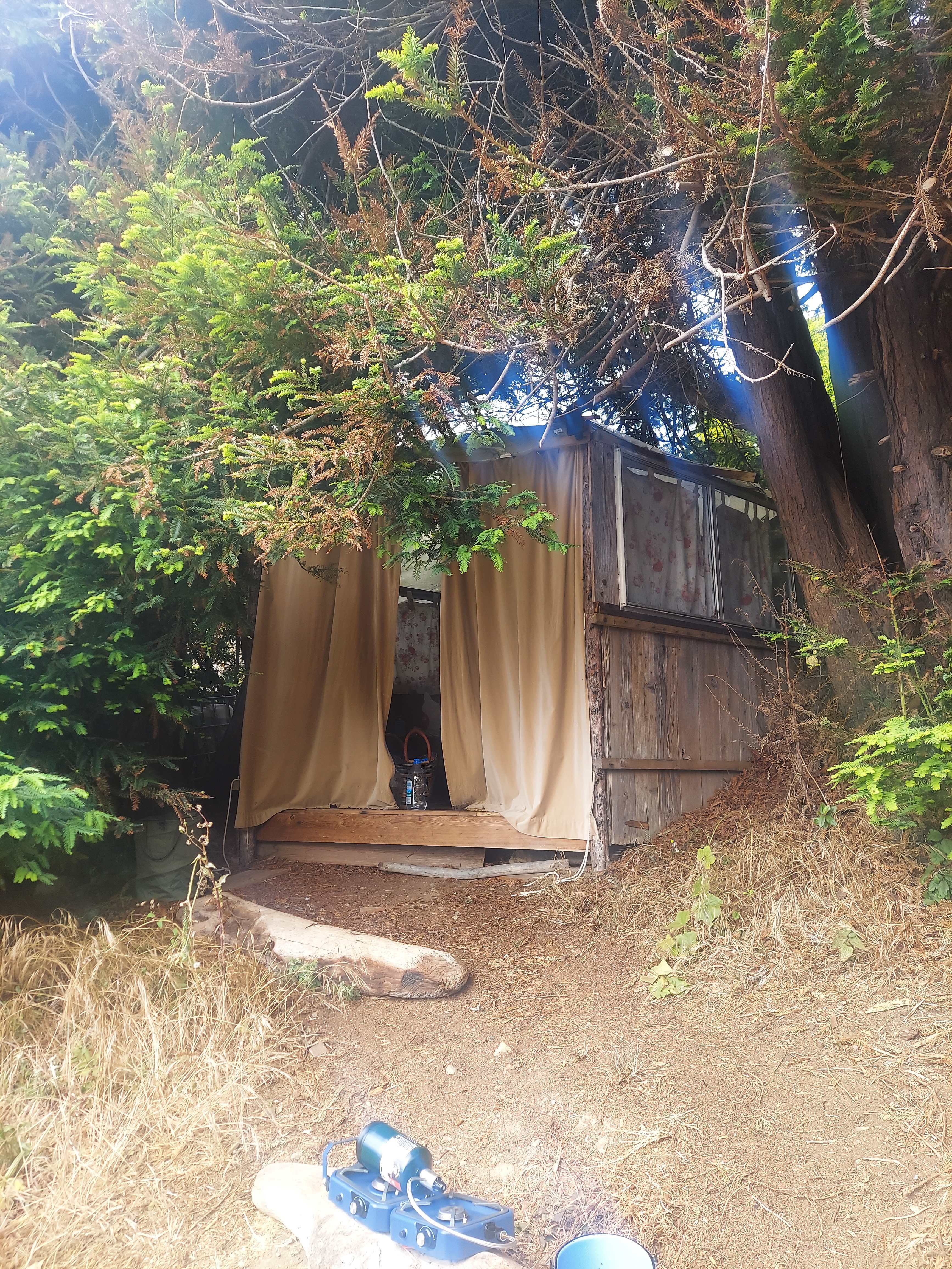 dabudage Big Sur