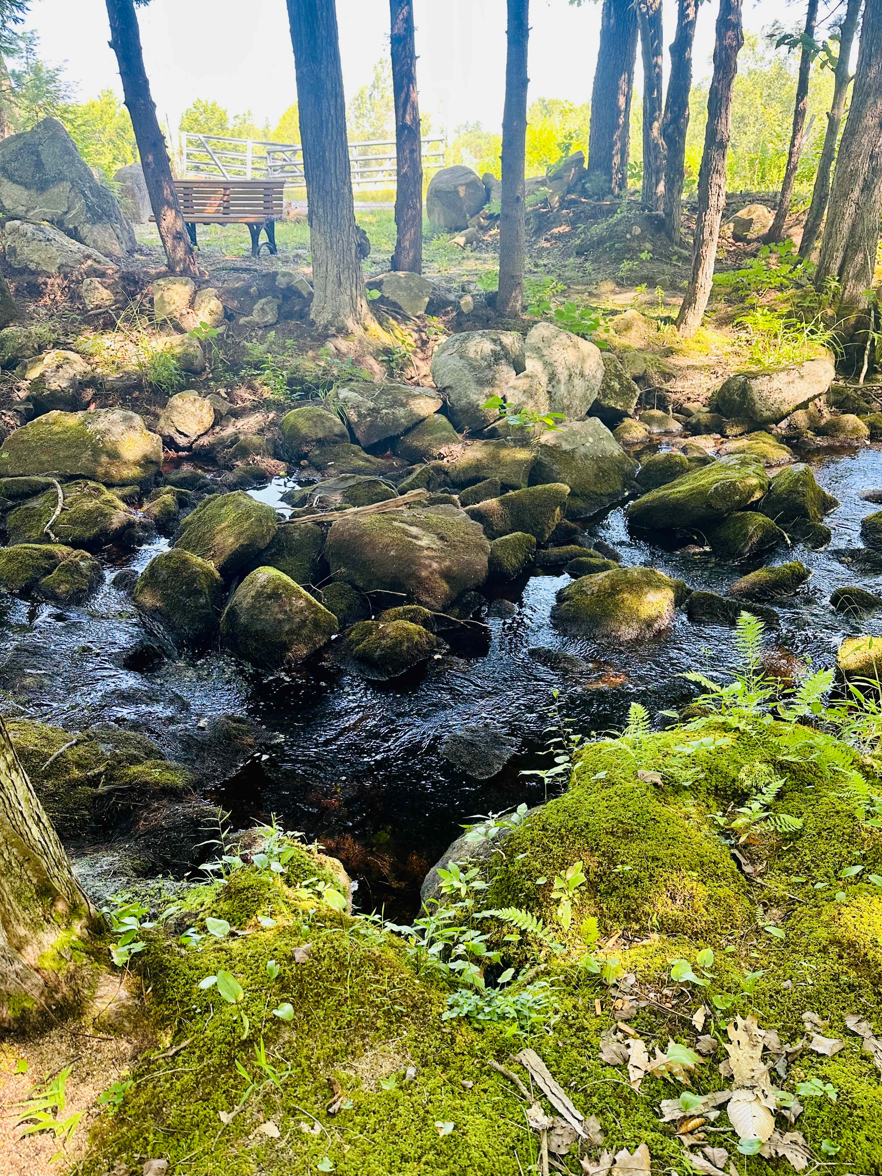 Stonybrook Cascade