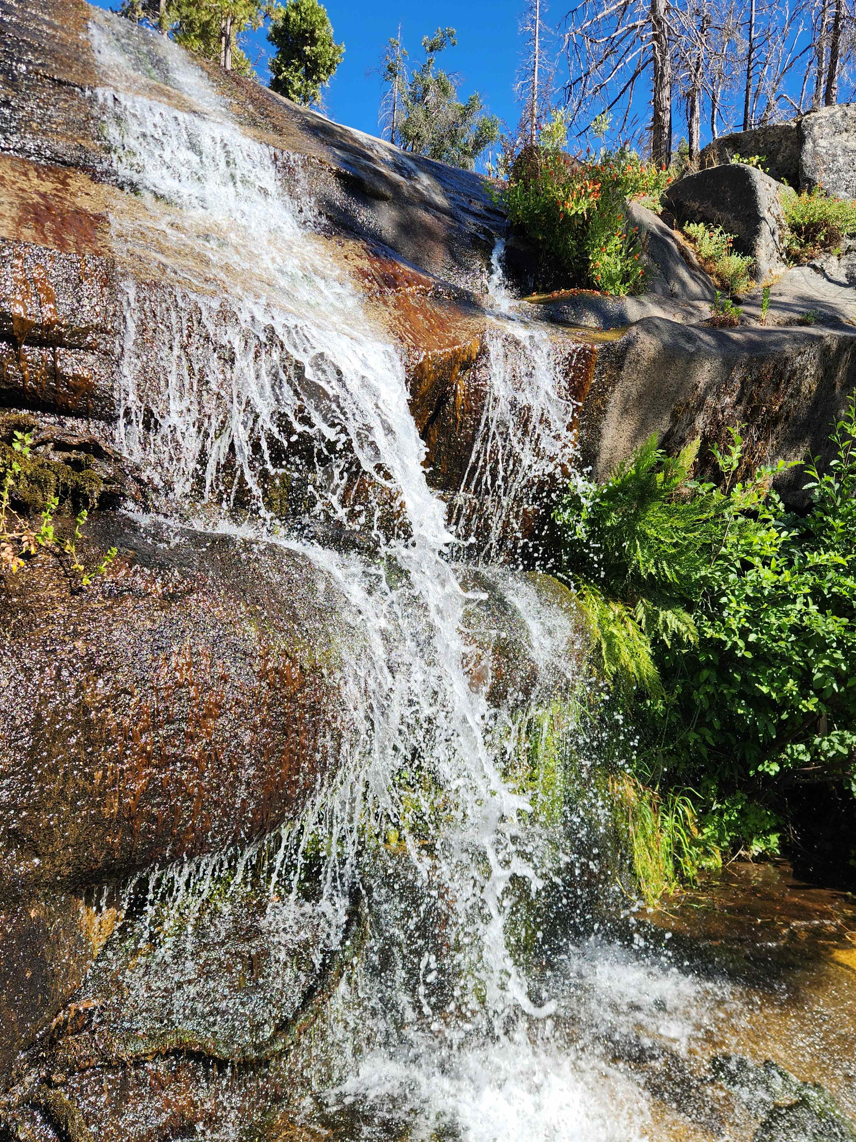 Musick Creek Falls