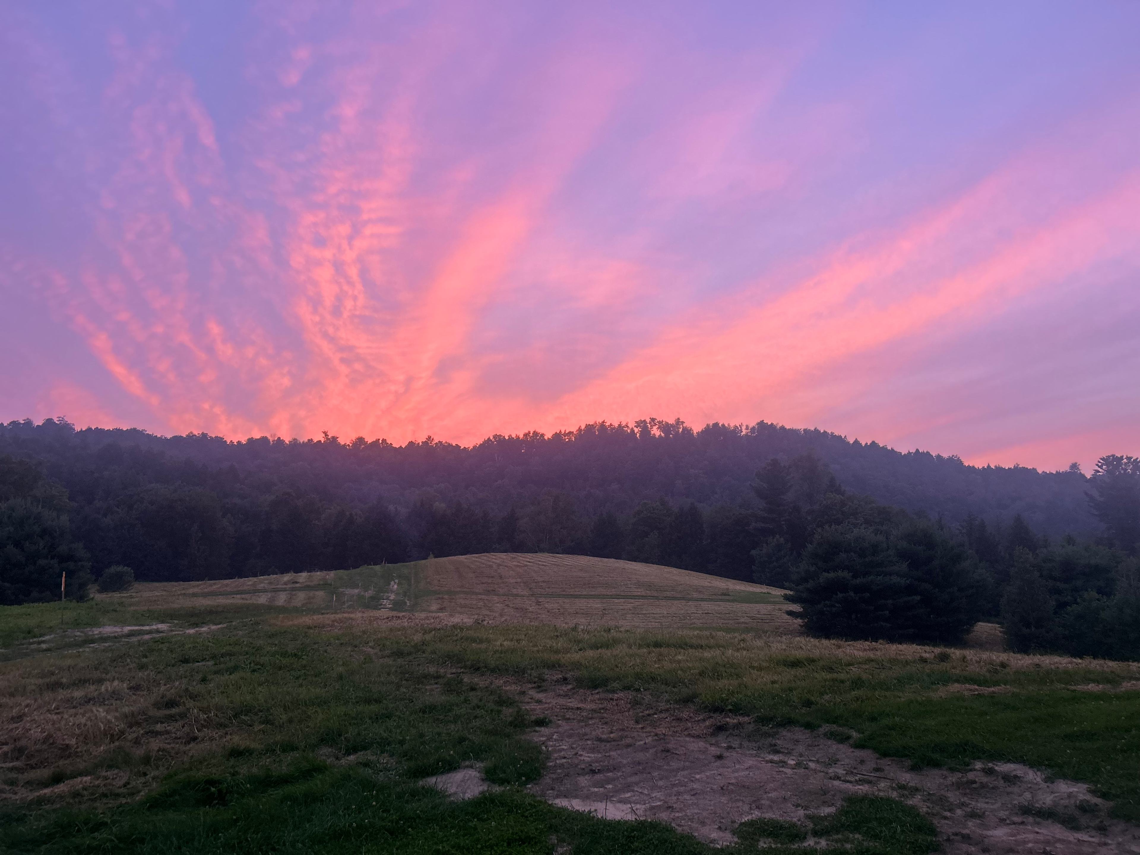 Black Creek Maple Off Grid Camp