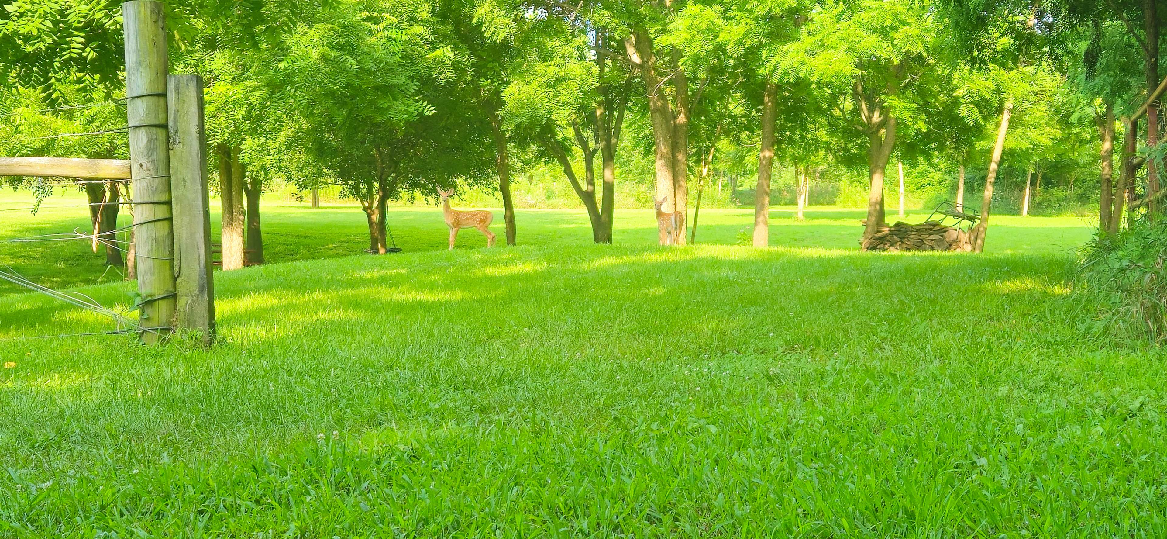 Marick Acres