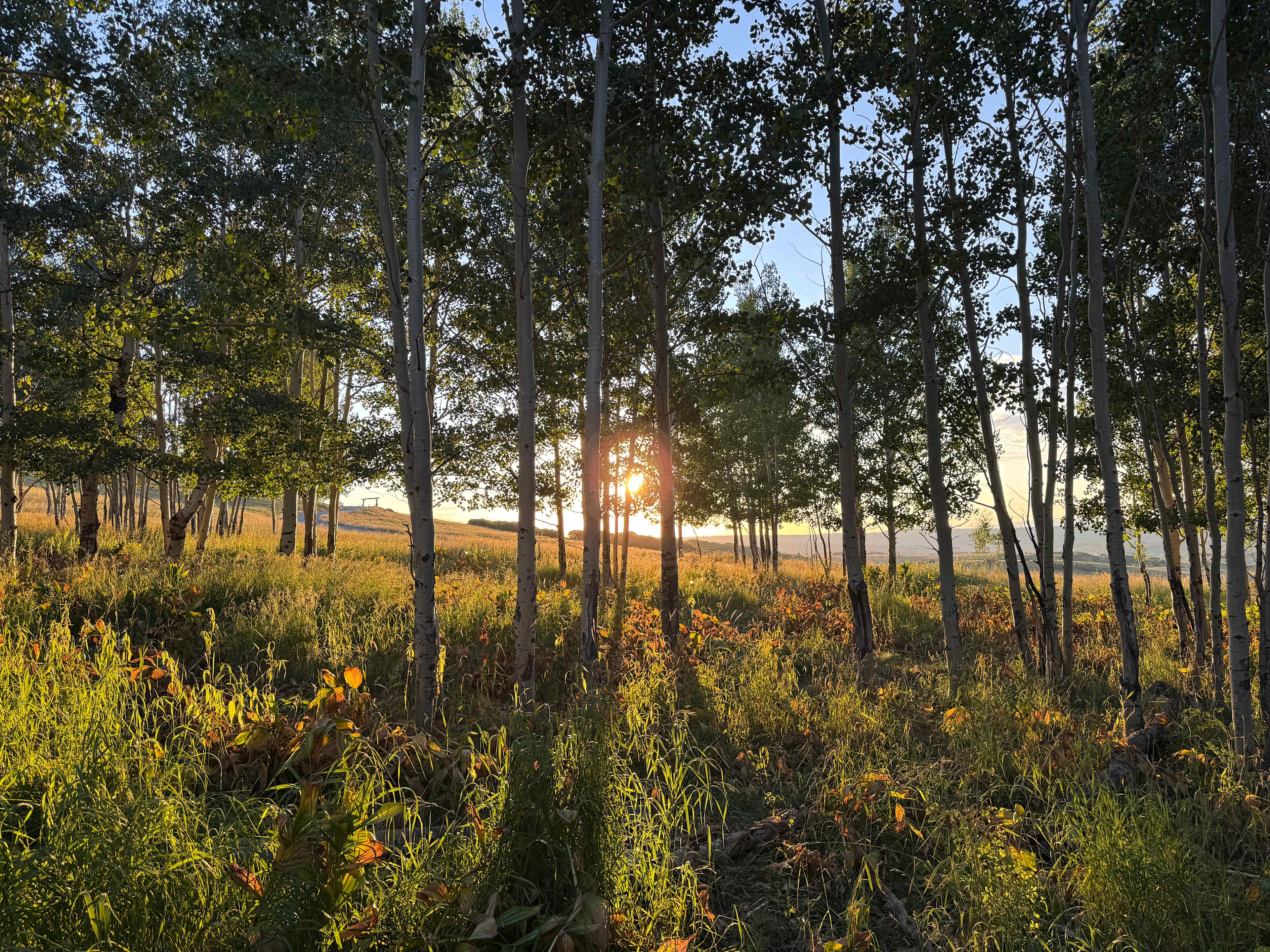 Hastings Mesa Nature Camp