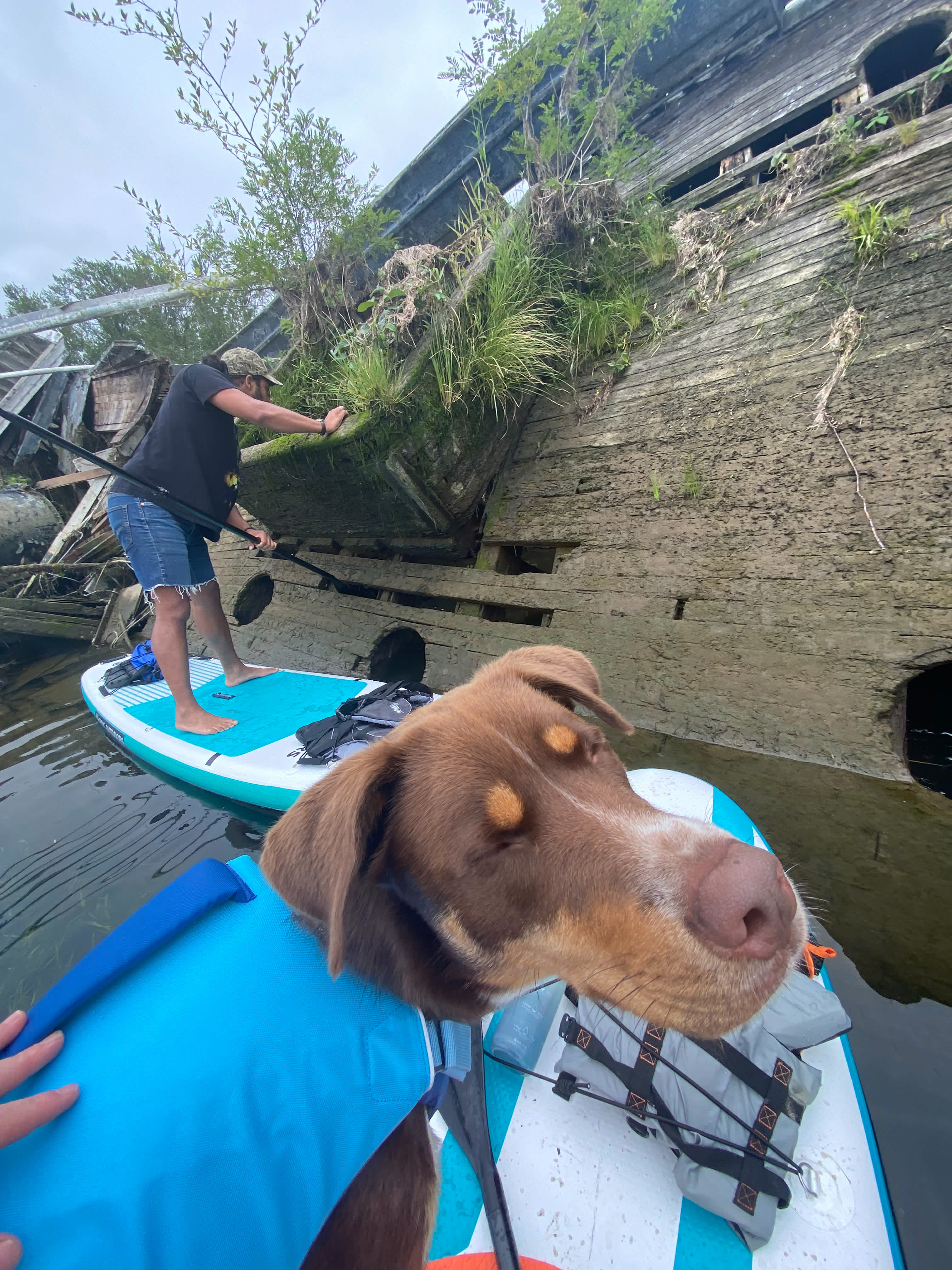 Slow Boat Farm - Island Camping