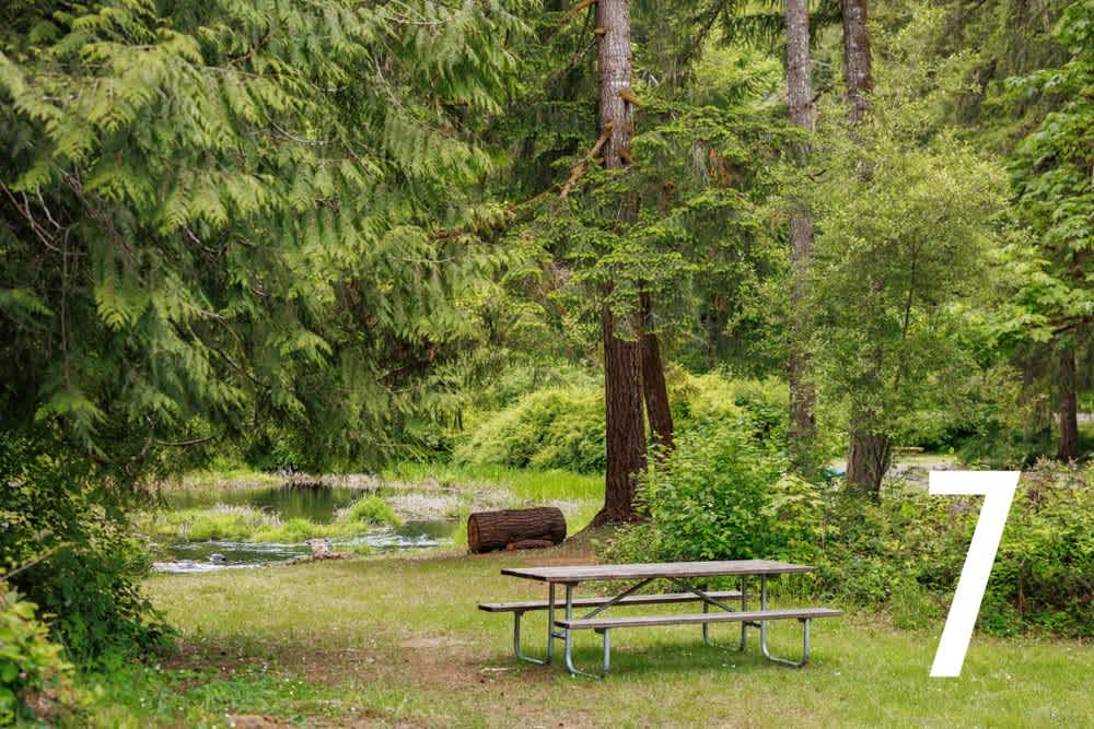 Creekside Retreat At Triangle Lake